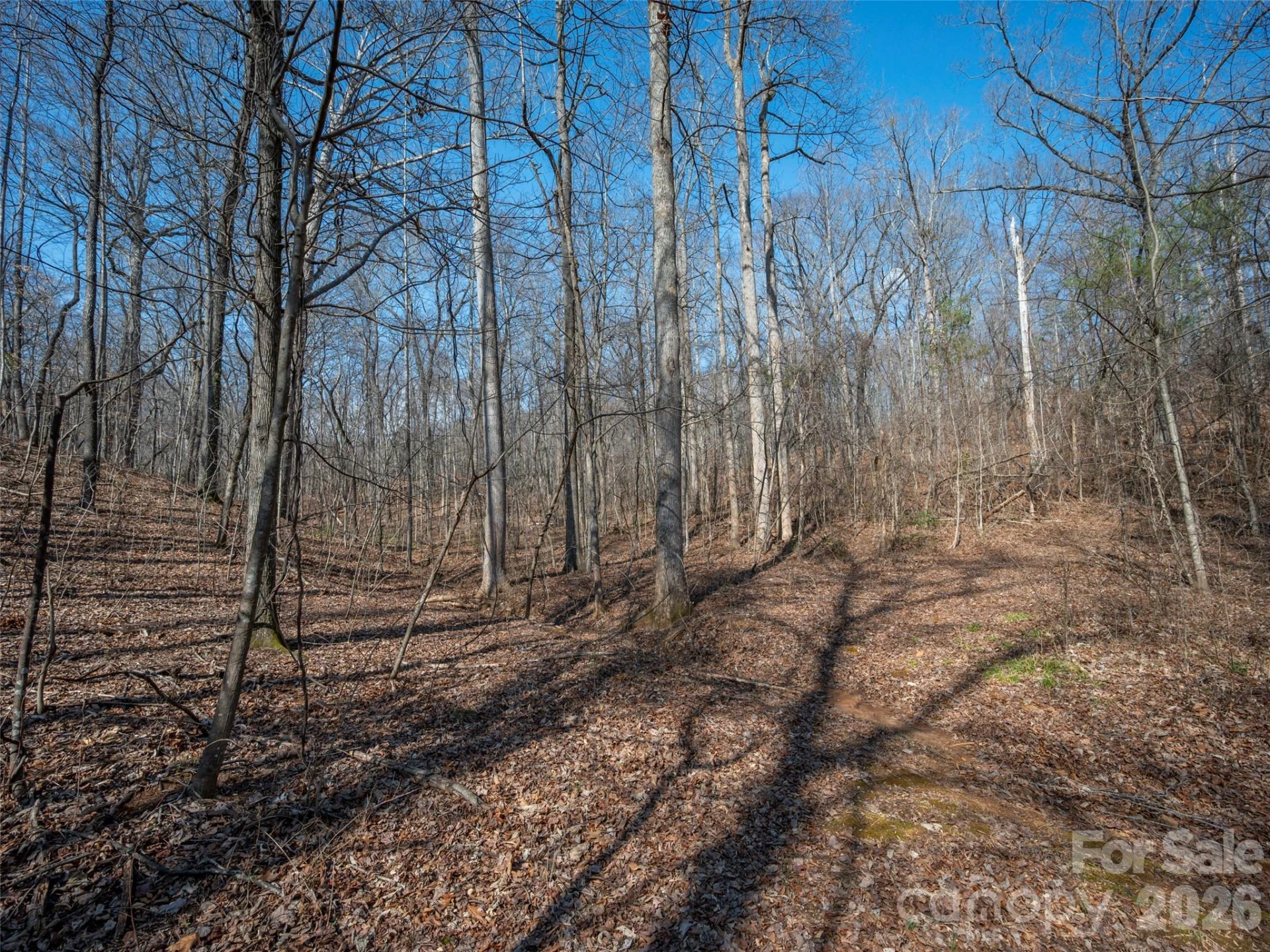 0000 Judge Road - Photo 19