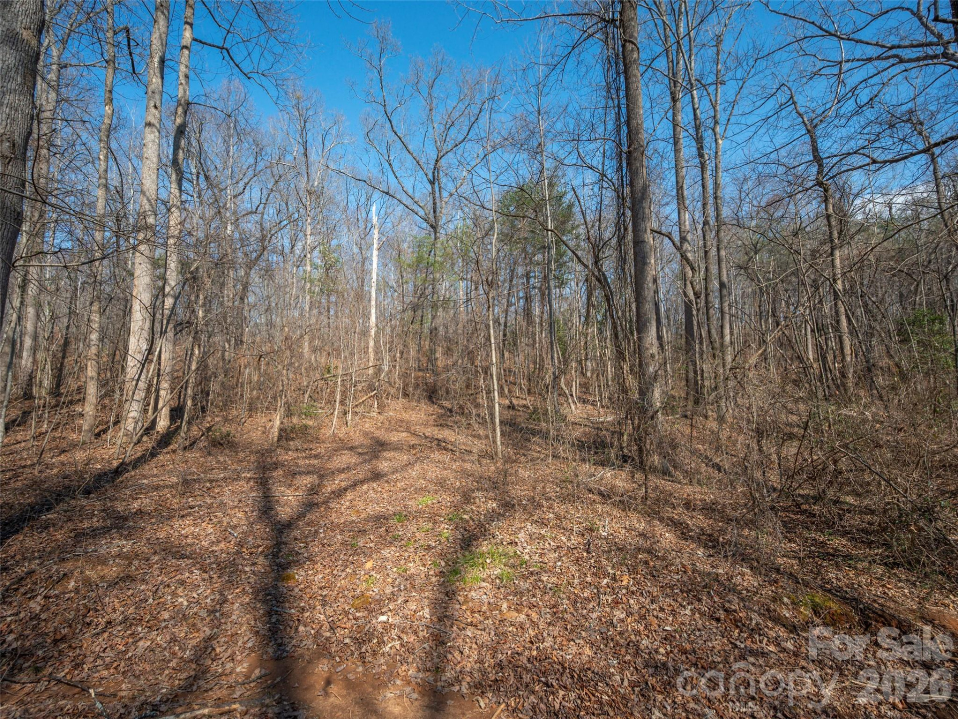 0000 Judge Road - Photo 20