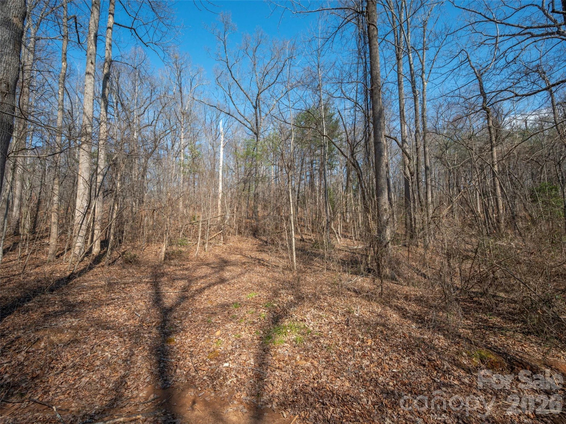 0000 Judge Road - Photo 20