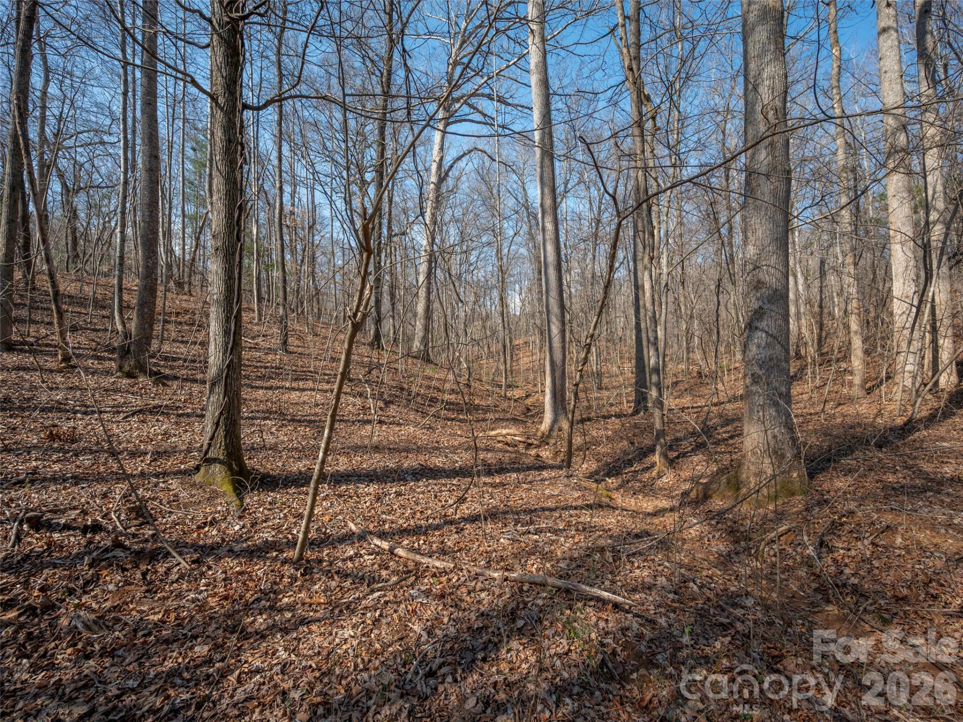 0000 Judge Road - Photo 21