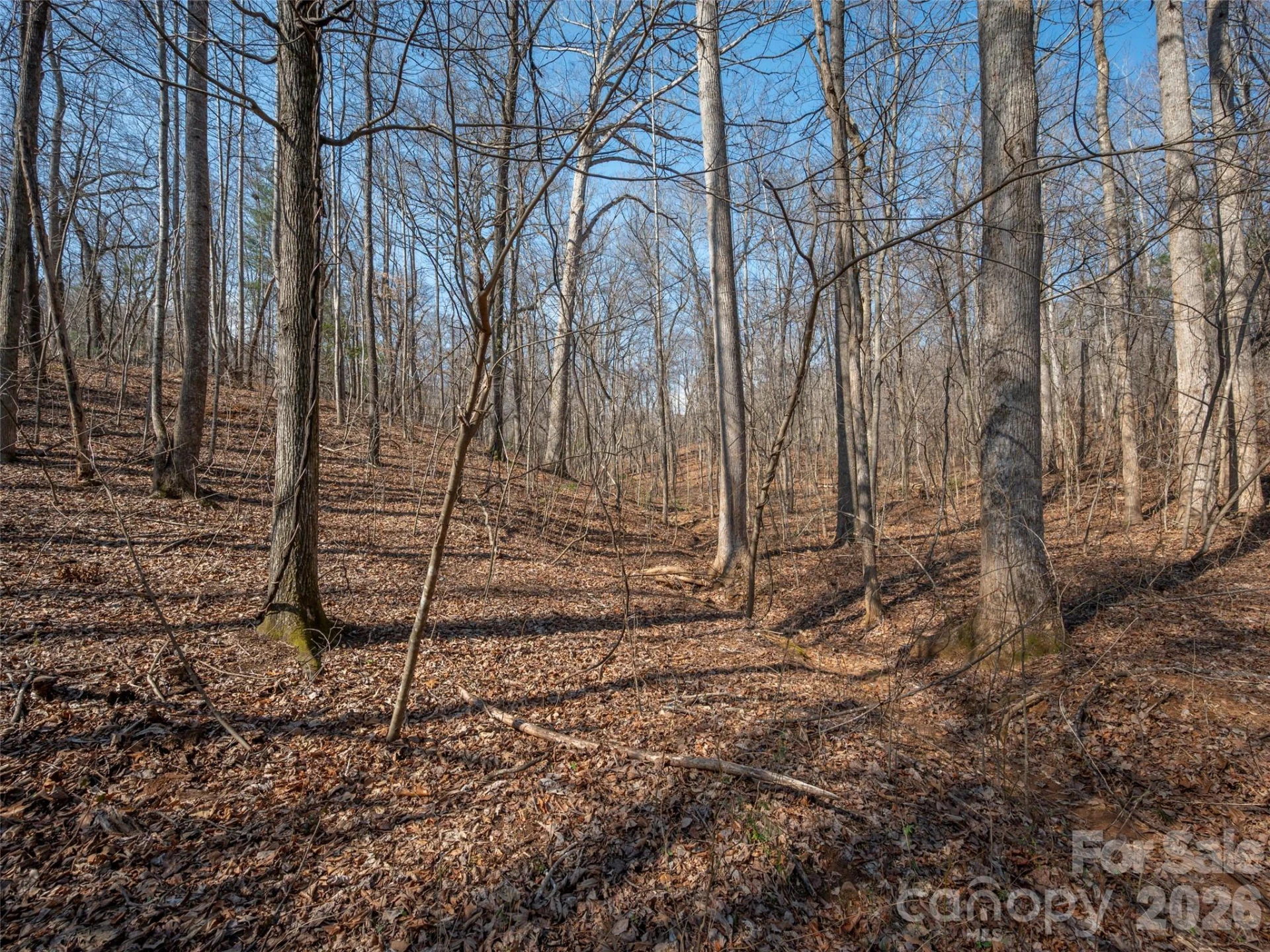 0000 Judge Road - Photo 21