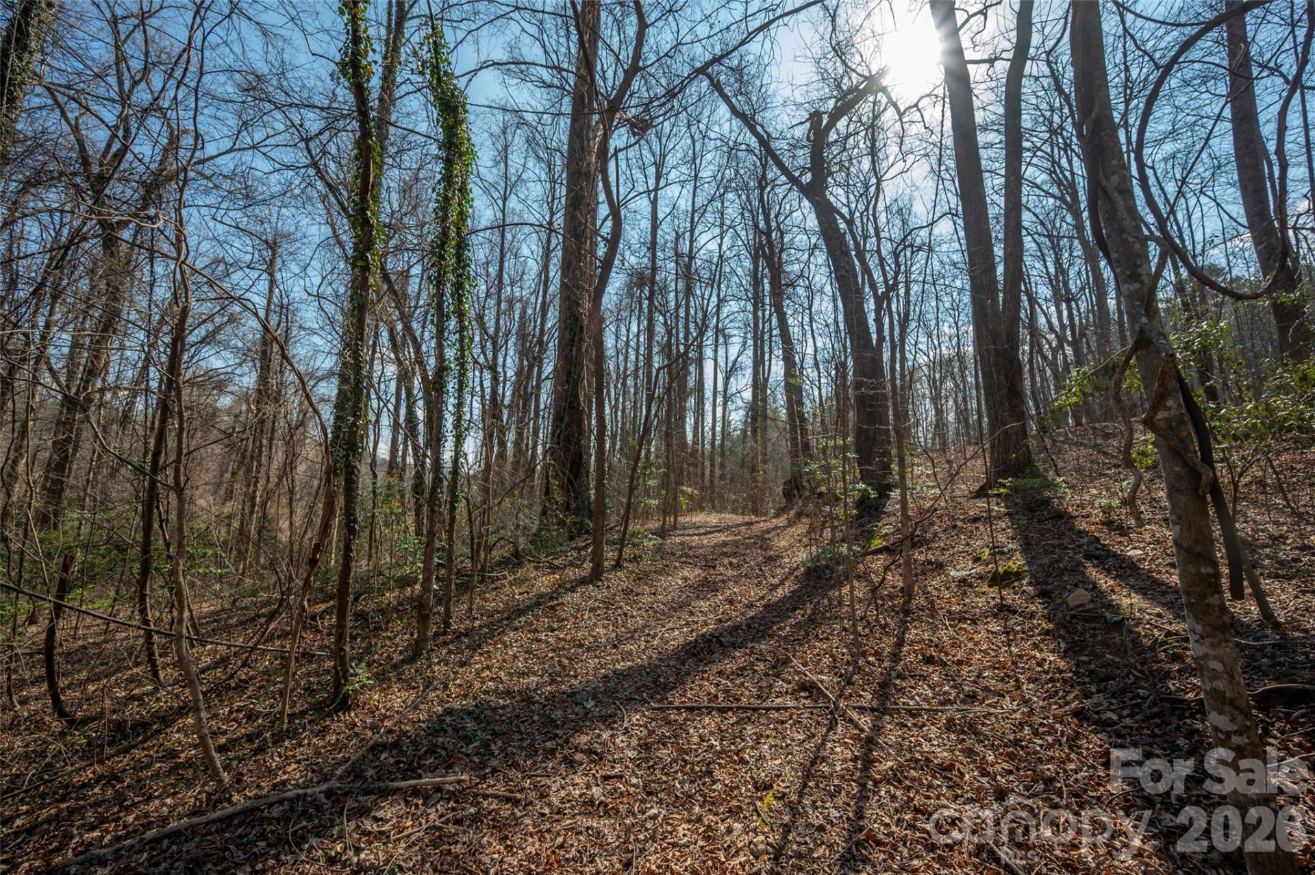 0000 Judge Road - Photo 22