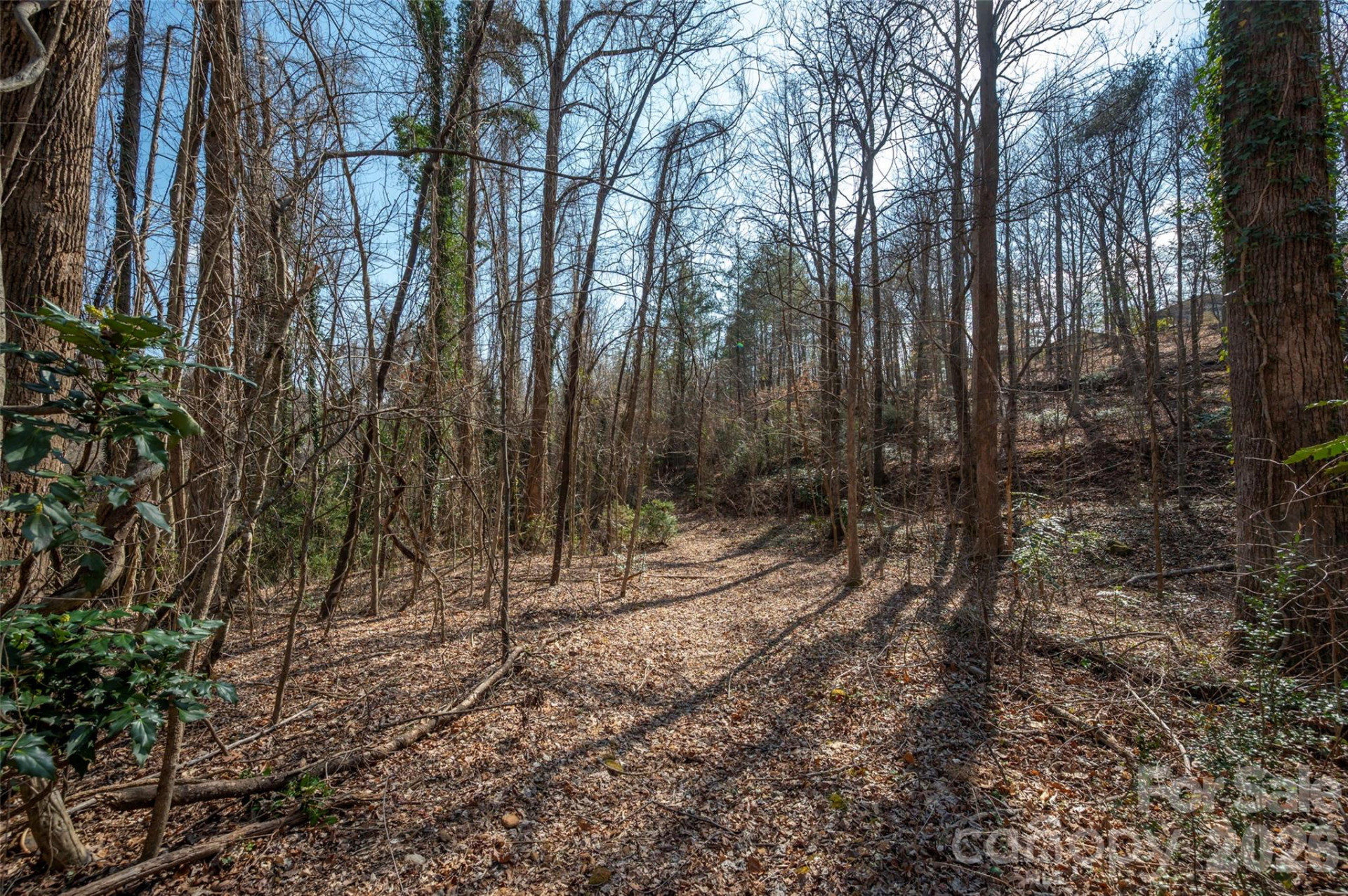 0000 Judge Road - Photo 23