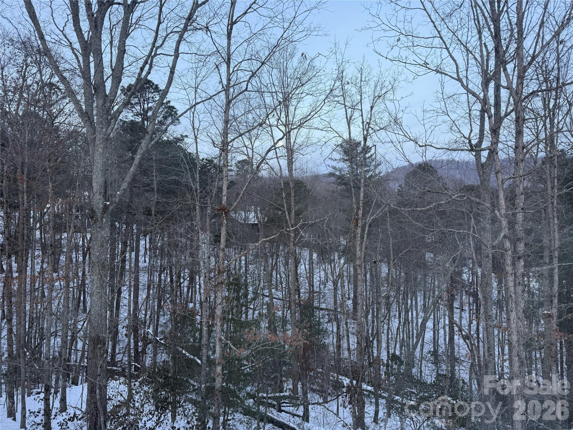 99999 Pole Creasman Road - Photo 2