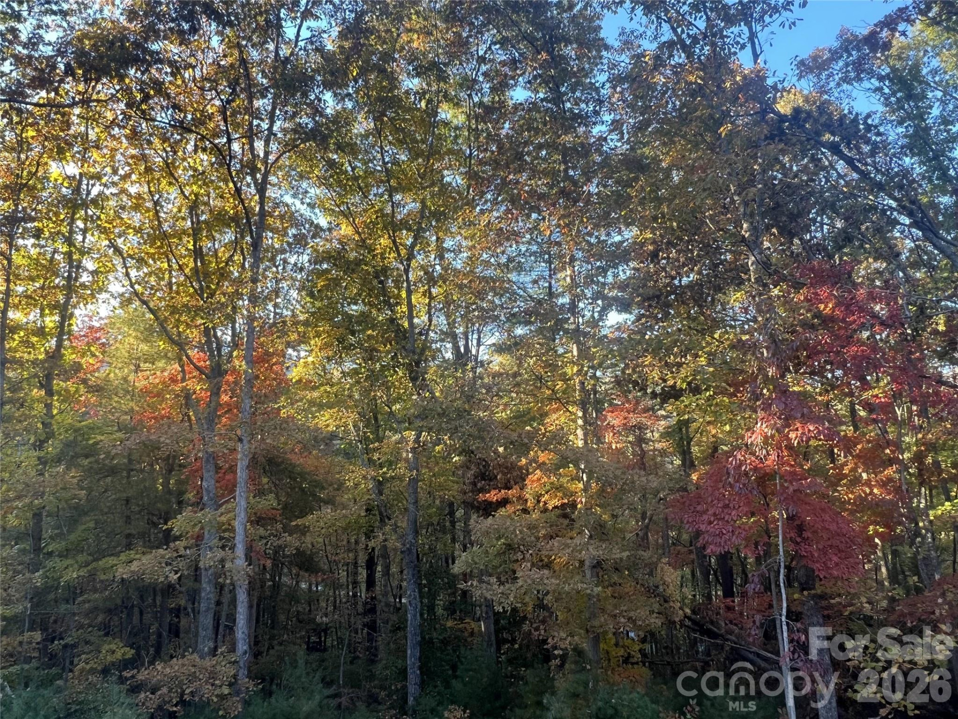 99999 Pole Creasman Road - Photo 4