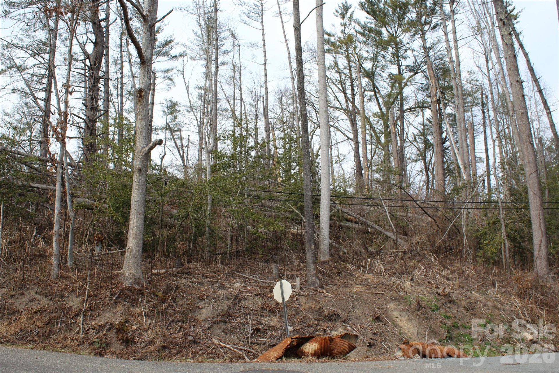 00 Monte Vista Circle - Photo 2