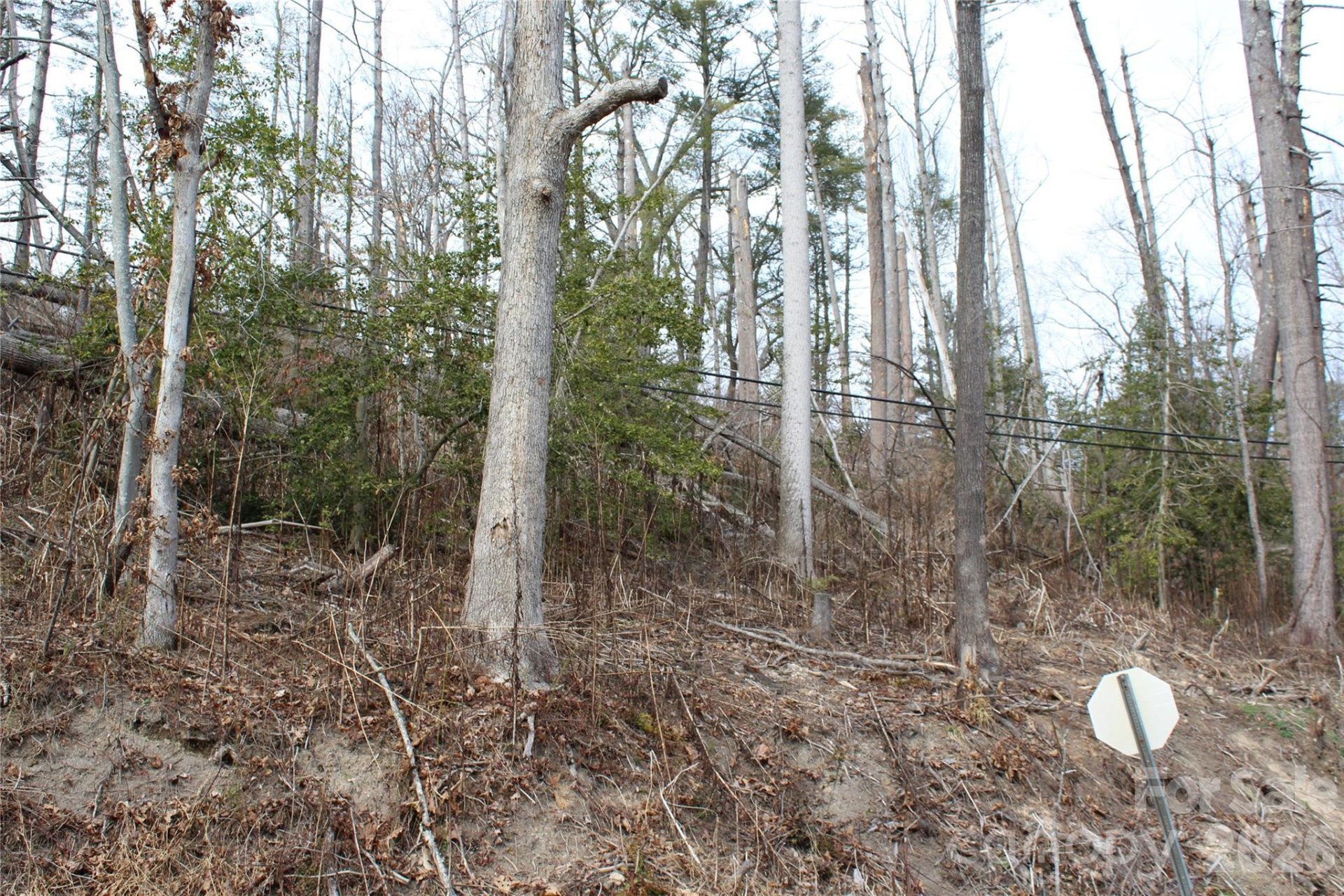 00 Monte Vista Circle - Photo 18