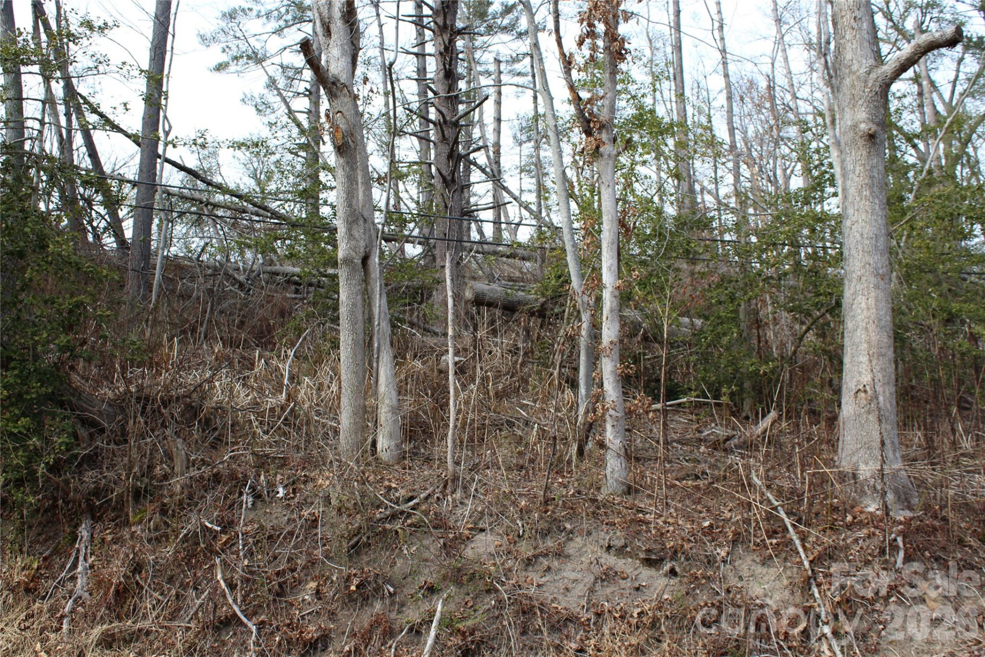 00 Monte Vista Circle - Photo 19