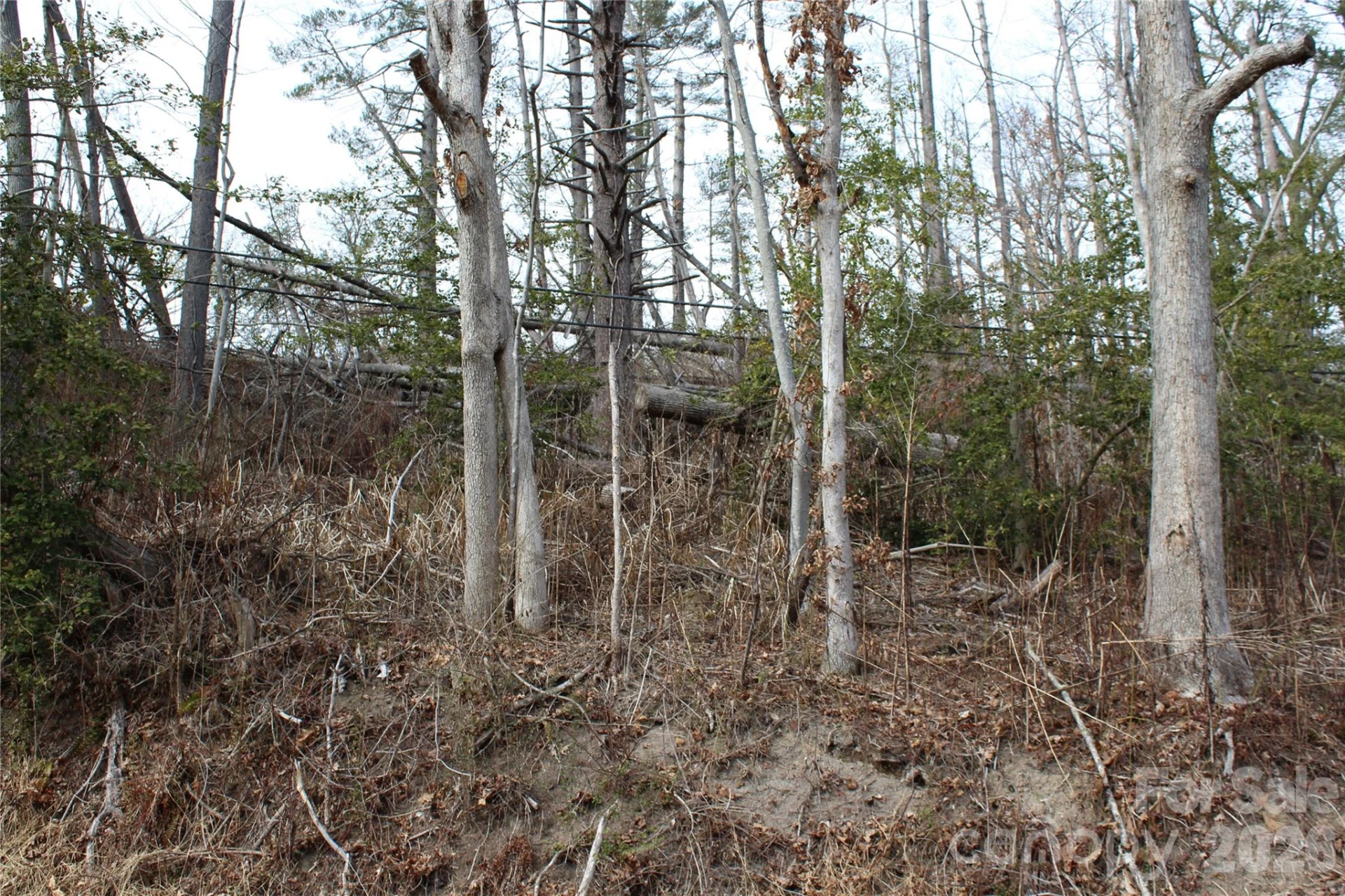 00 Monte Vista Circle - Photo 19