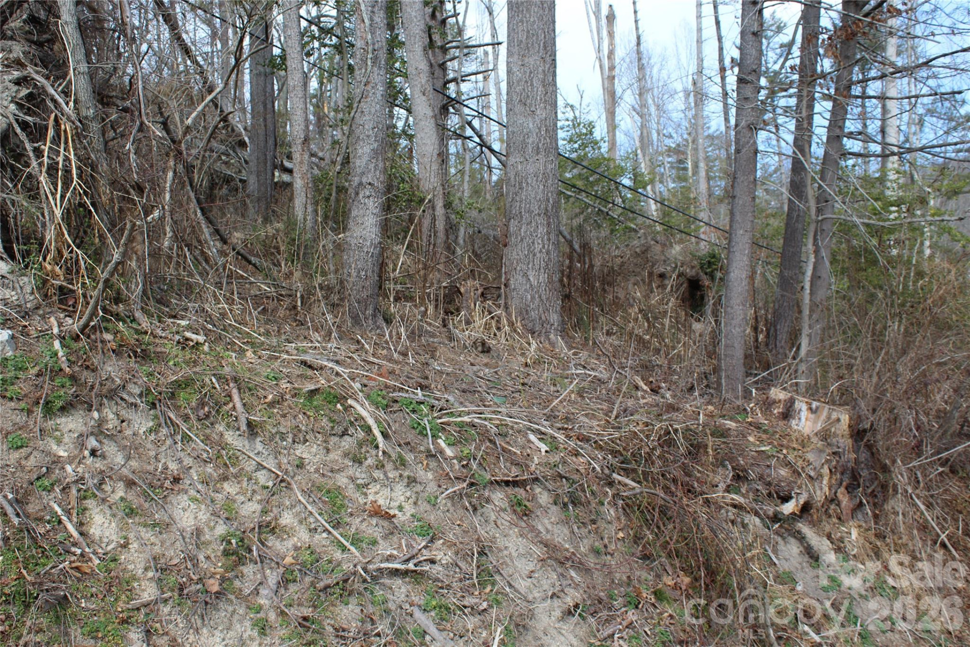 00 Monte Vista Circle - Photo 21