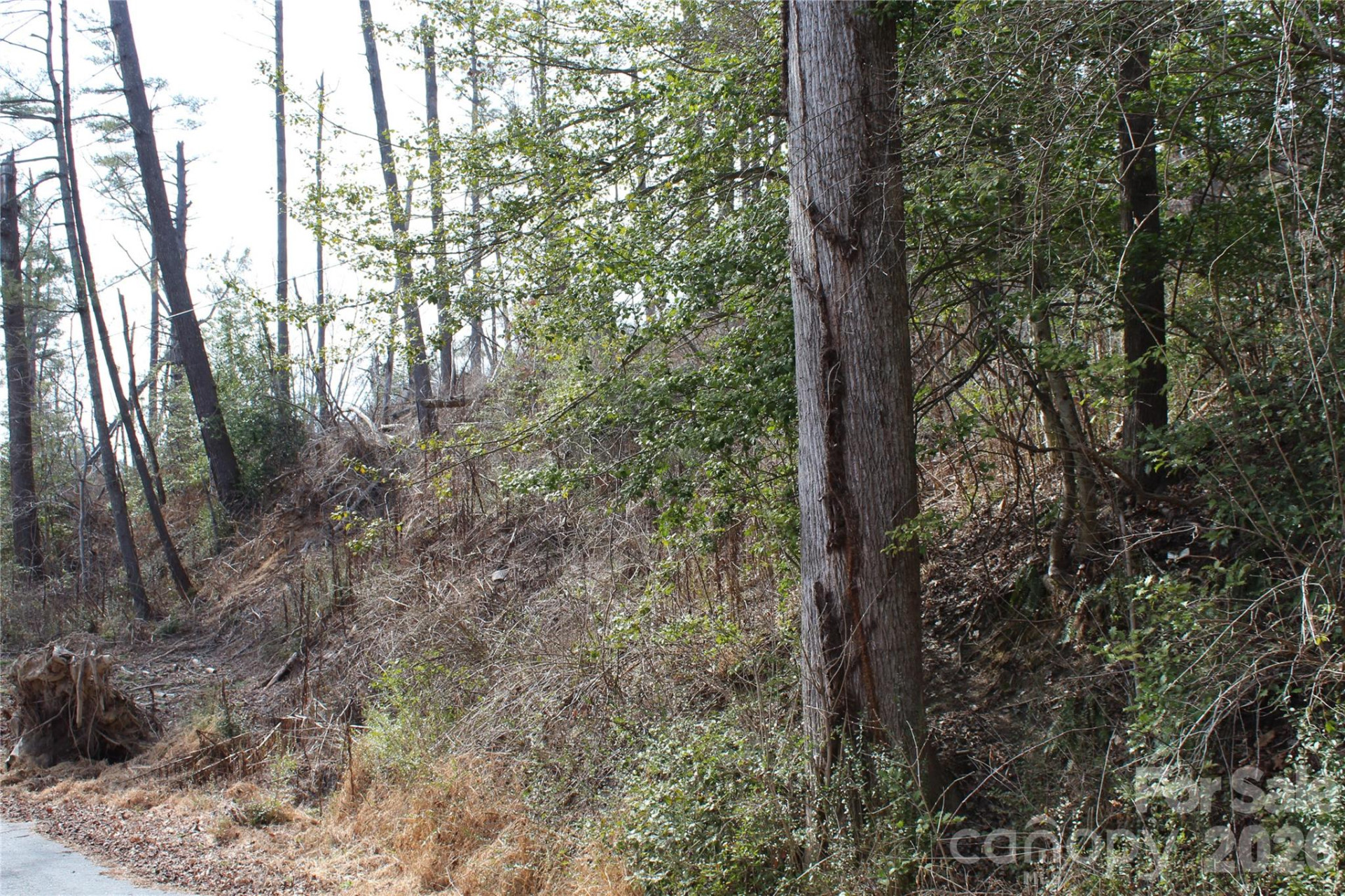 00 Monte Vista Circle - Photo 23