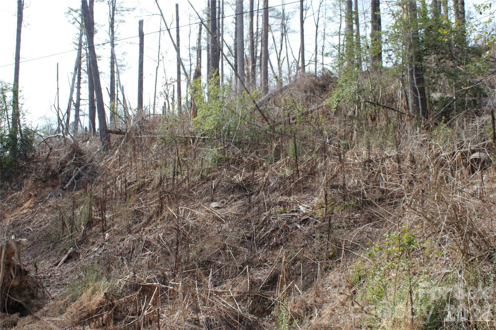 00 Monte Vista Circle - Photo 28