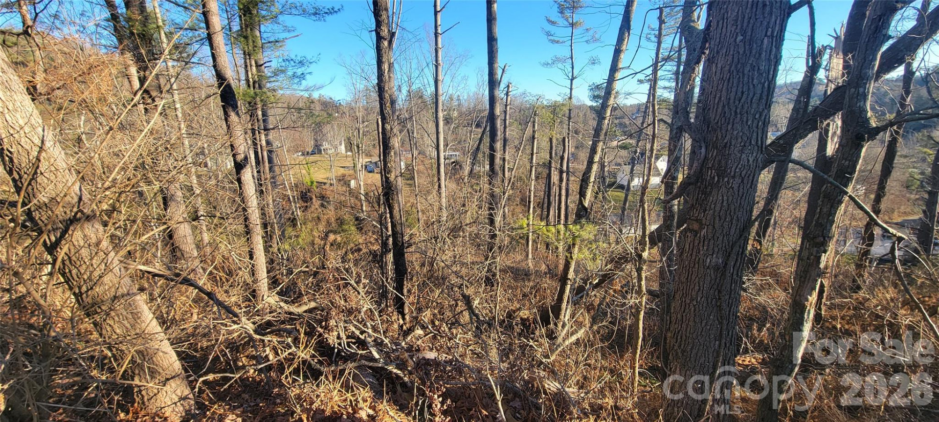 00 Monte Vista Circle - Photo 29