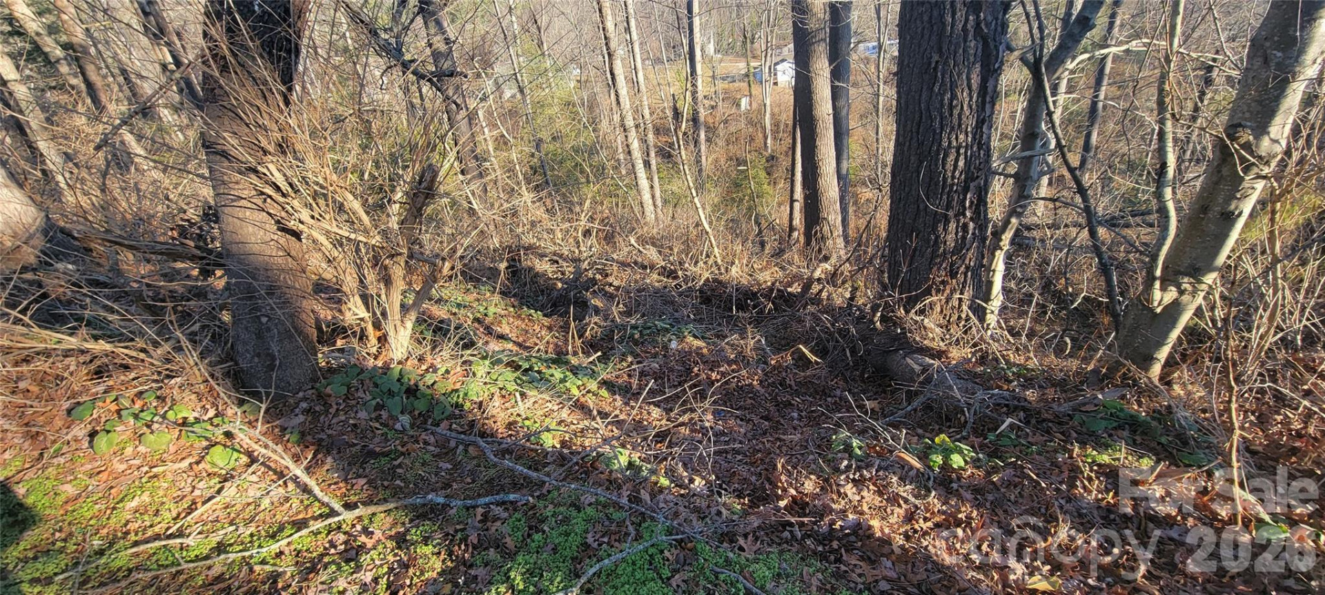 00 Monte Vista Circle - Photo 30