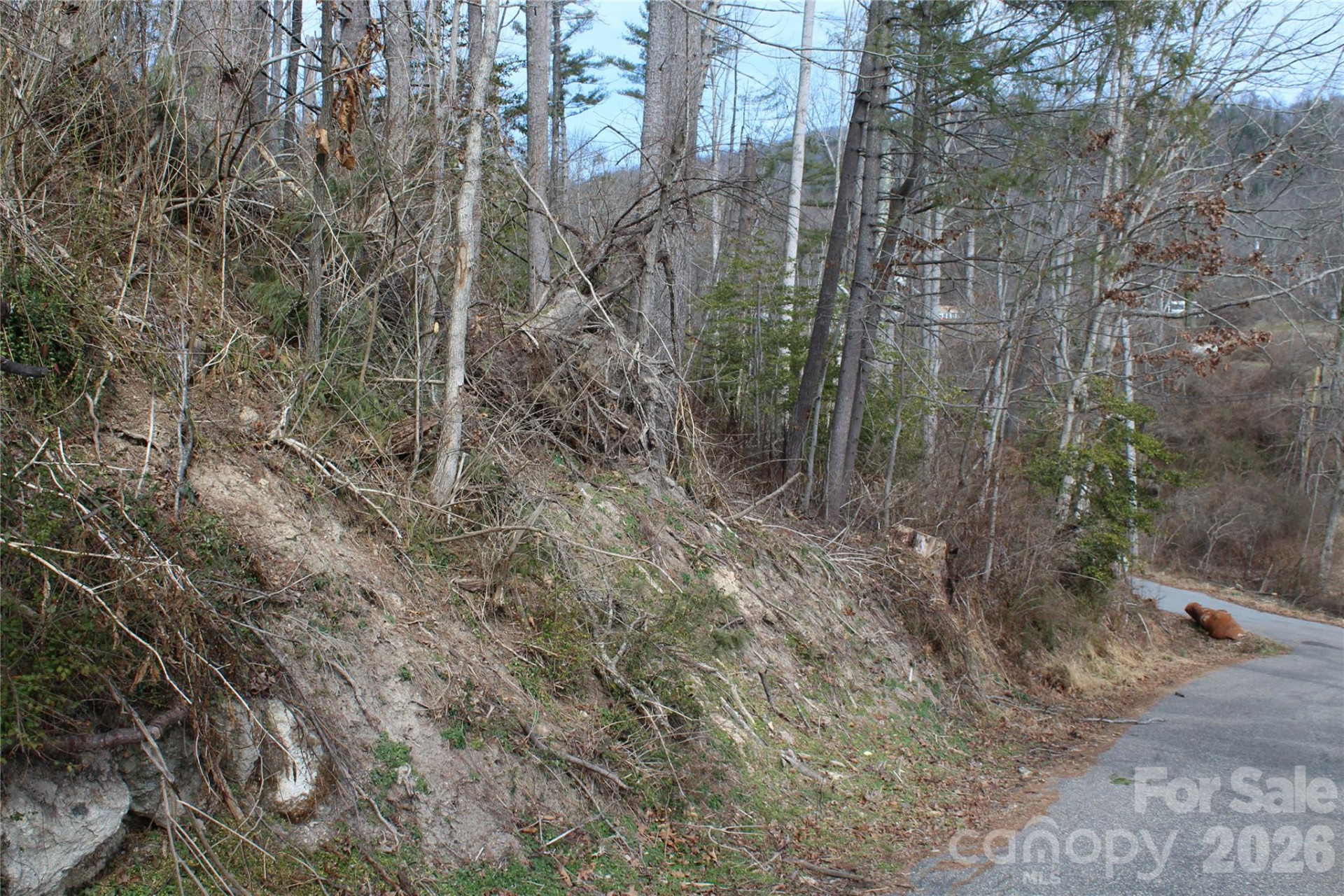 00 Monte Vista Circle - Photo 10