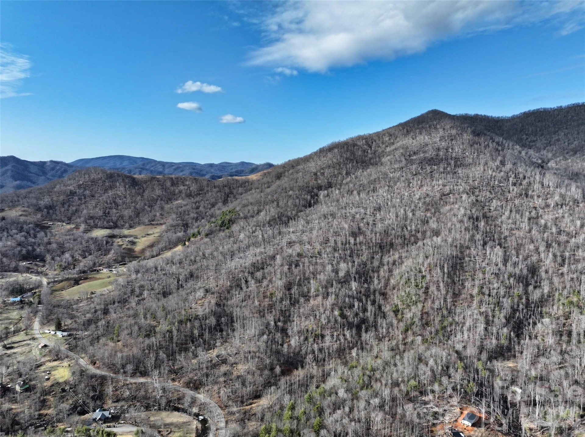 0000 Fork Mountain Road - Photo 2