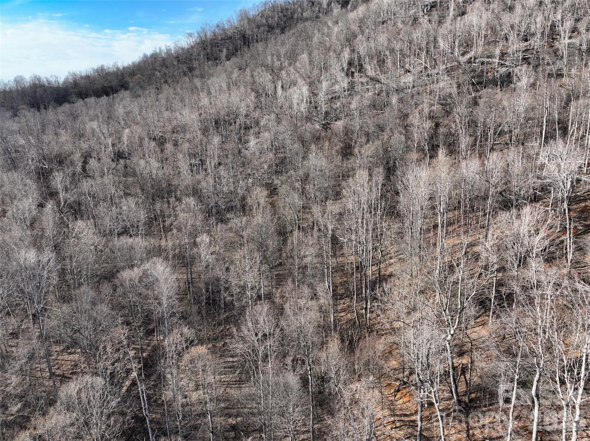 0000 Fork Mountain Road - Photo 11