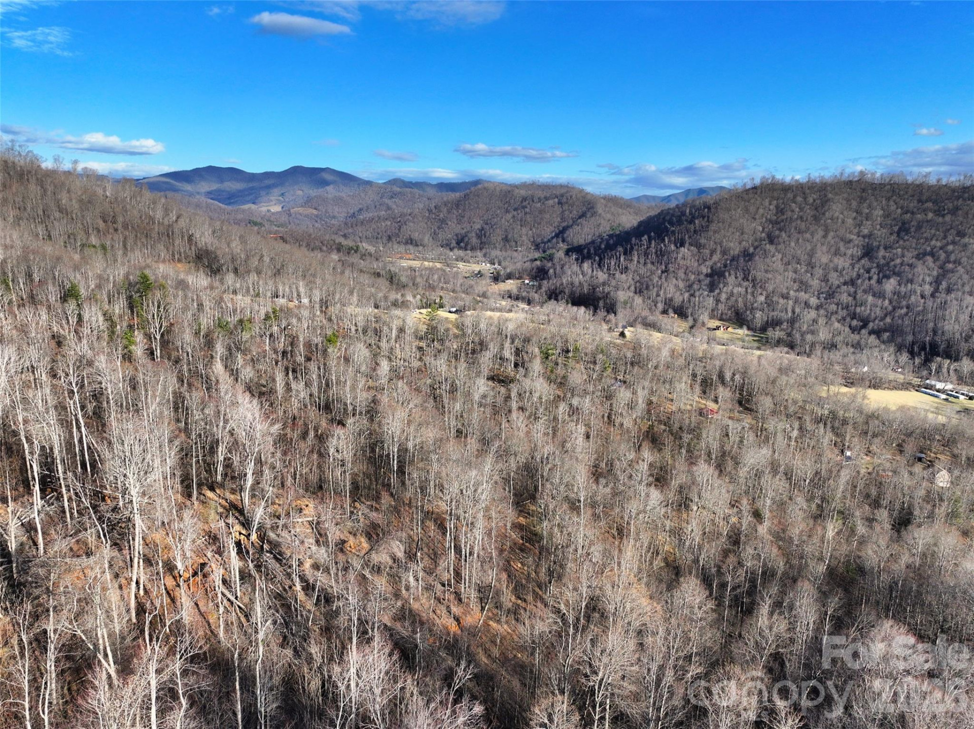 0000 Fork Mountain Road - Photo 12