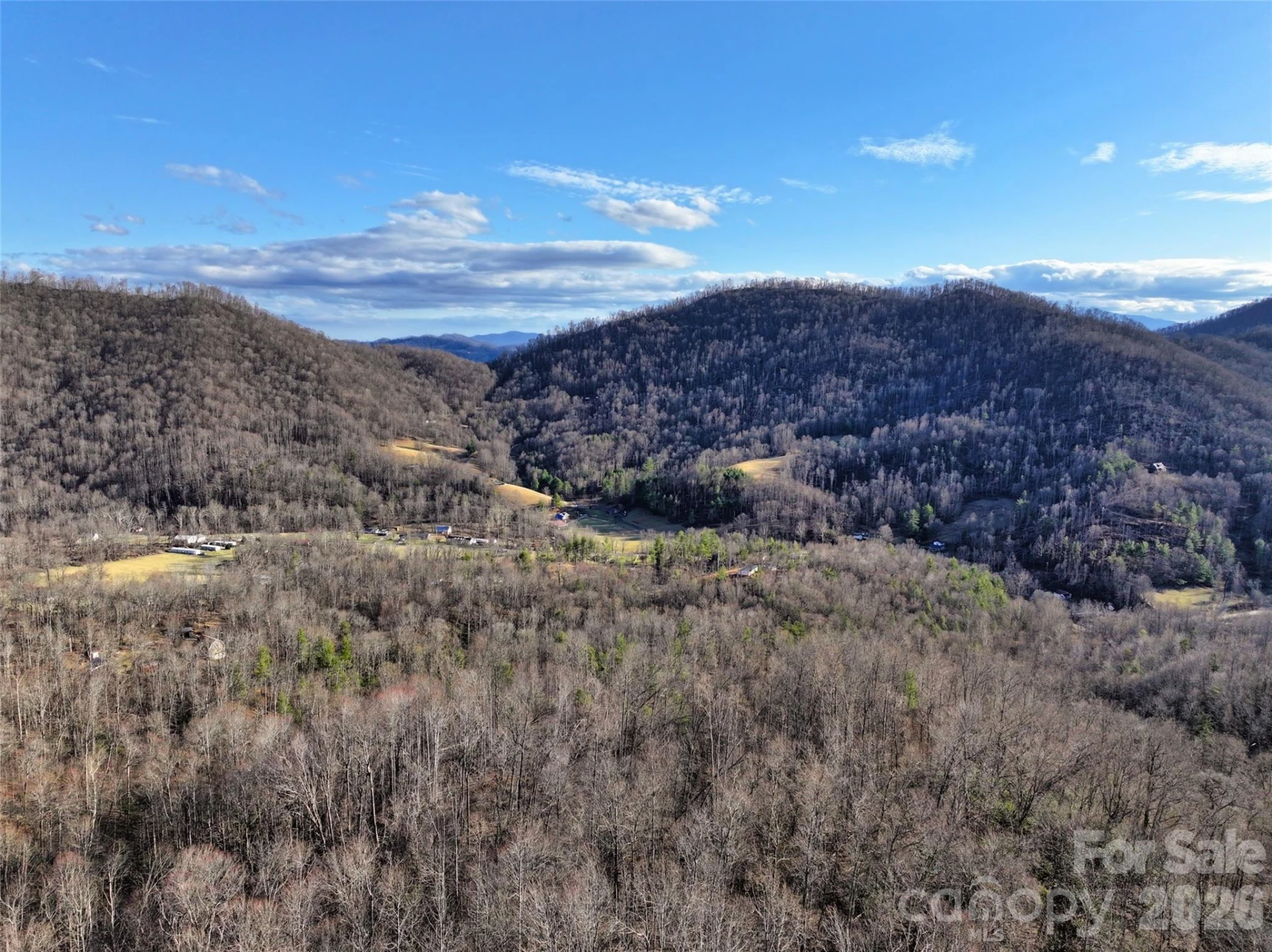 0000 Fork Mountain Road - Photo 13