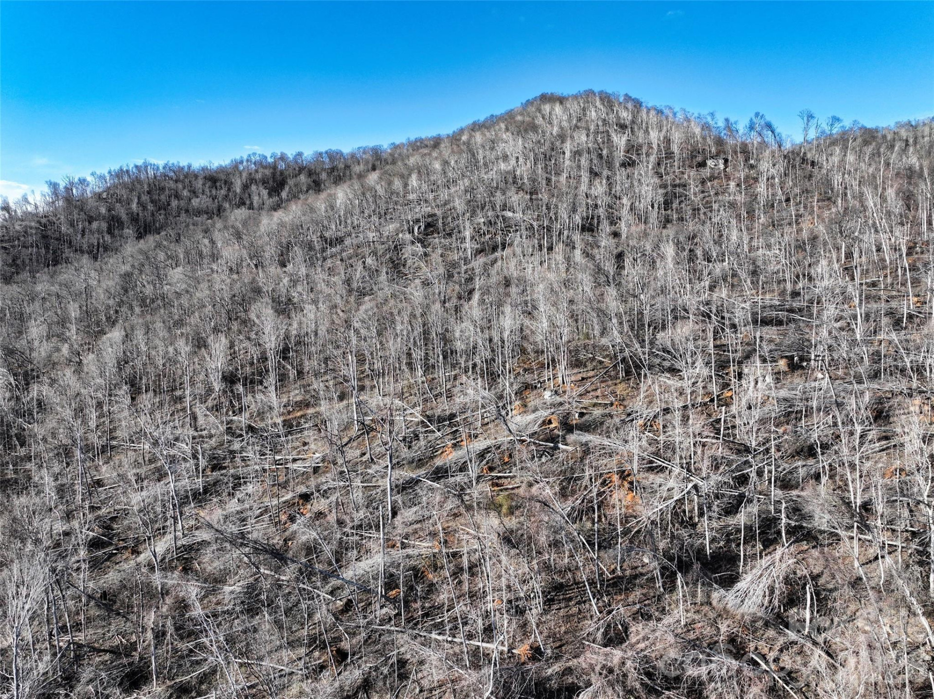 0000 Fork Mountain Road - Photo 14