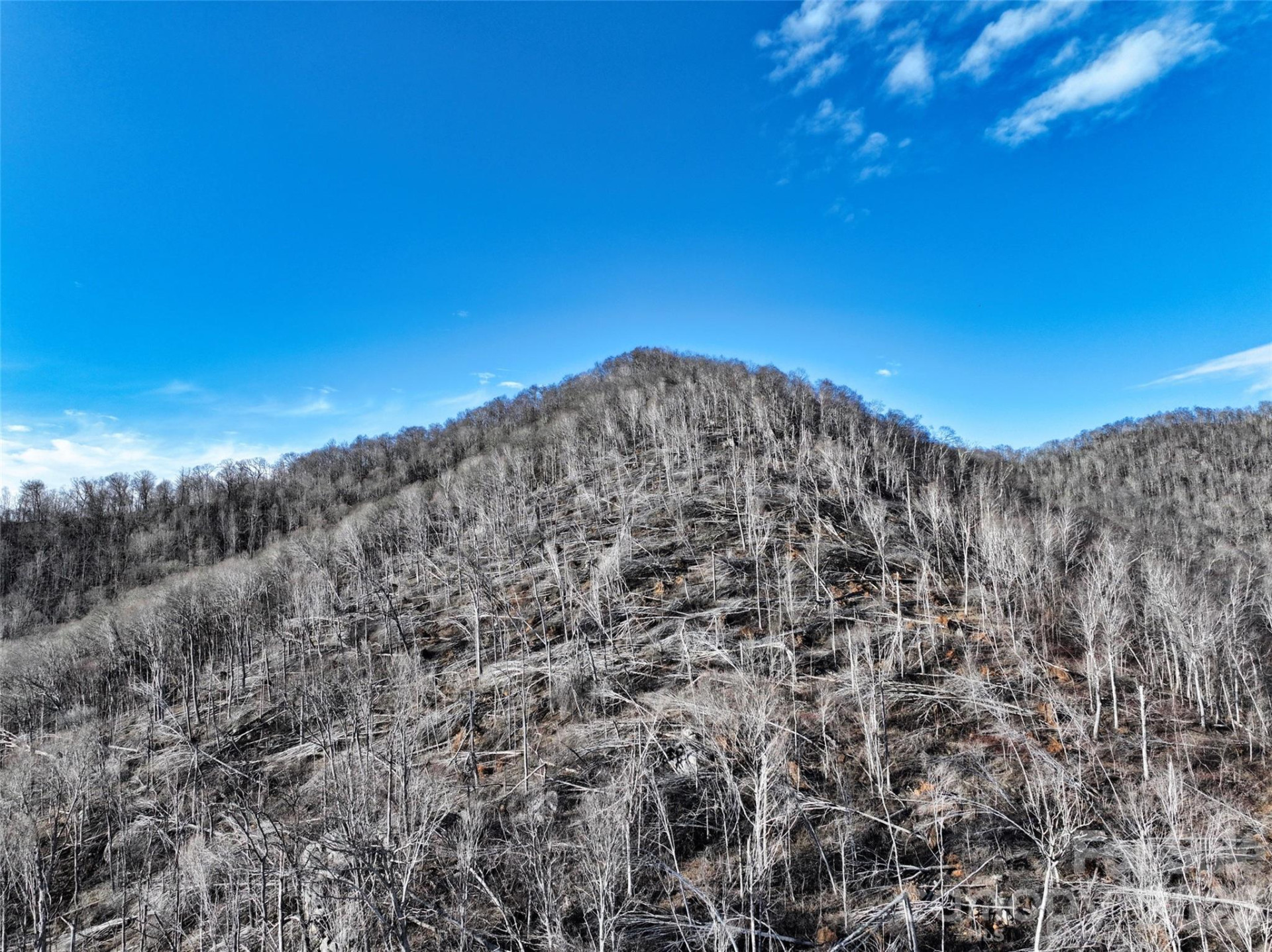 0000 Fork Mountain Road - Photo 15