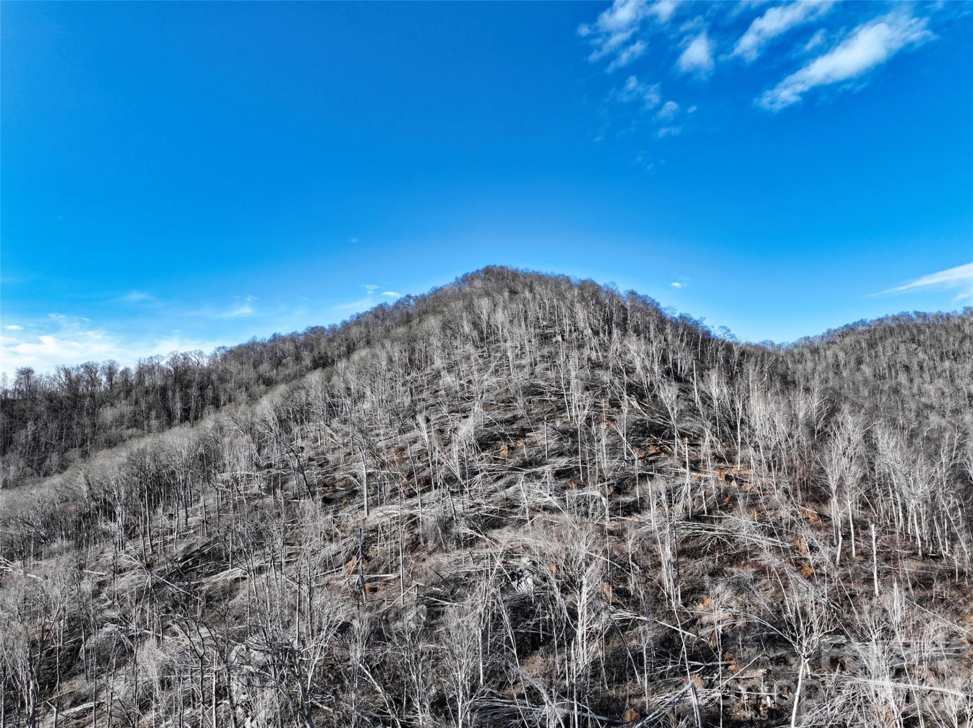 0000 Fork Mountain Road - Photo 15
