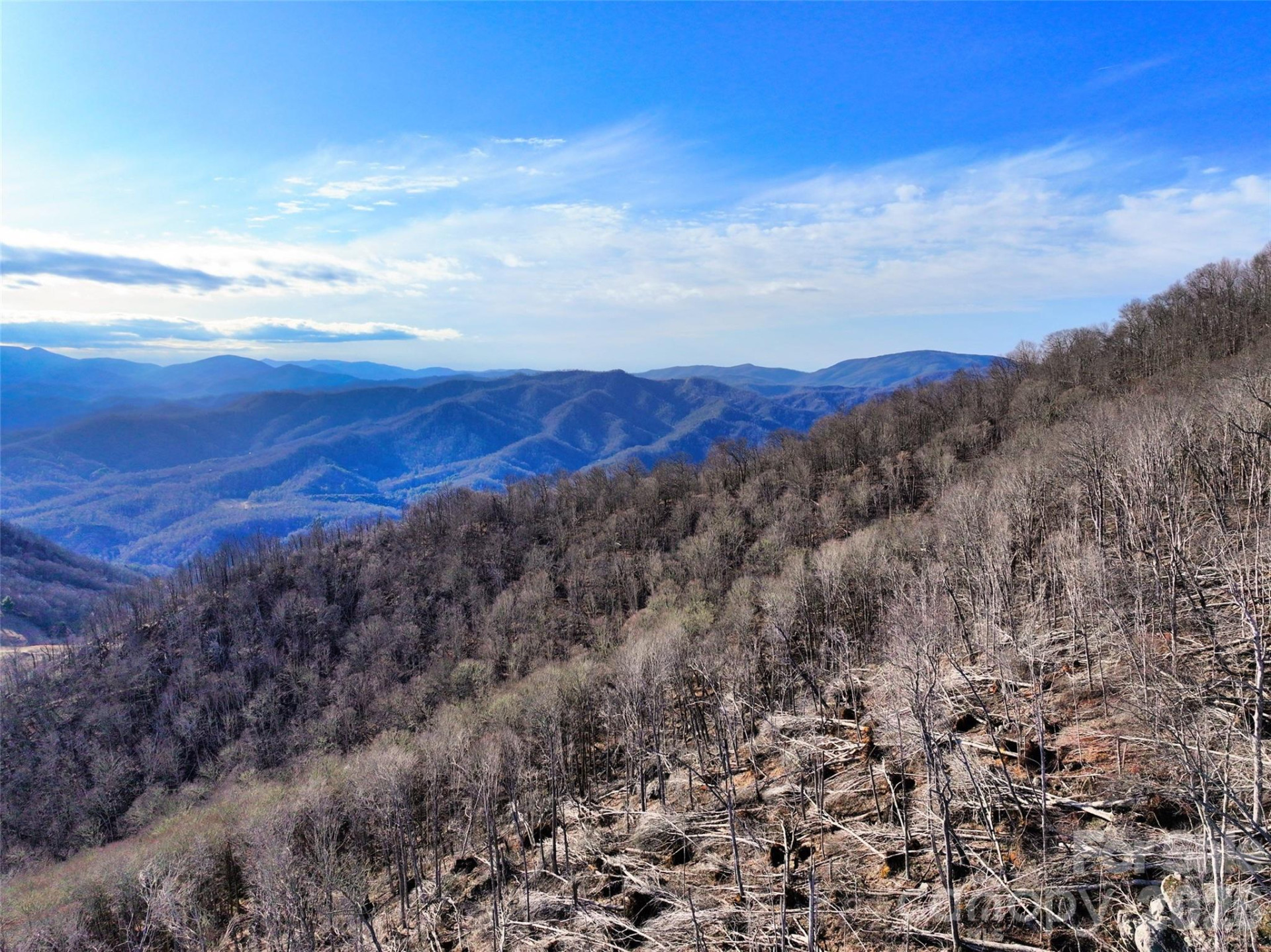 0000 Fork Mountain Road - Photo 17