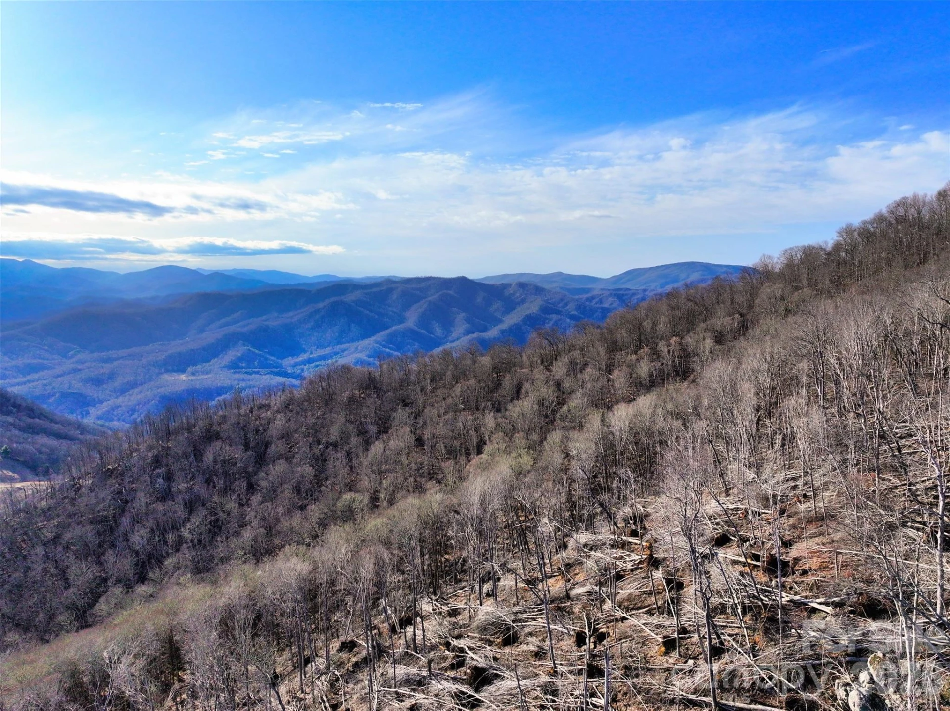 0000 Fork Mountain Road - Photo 17