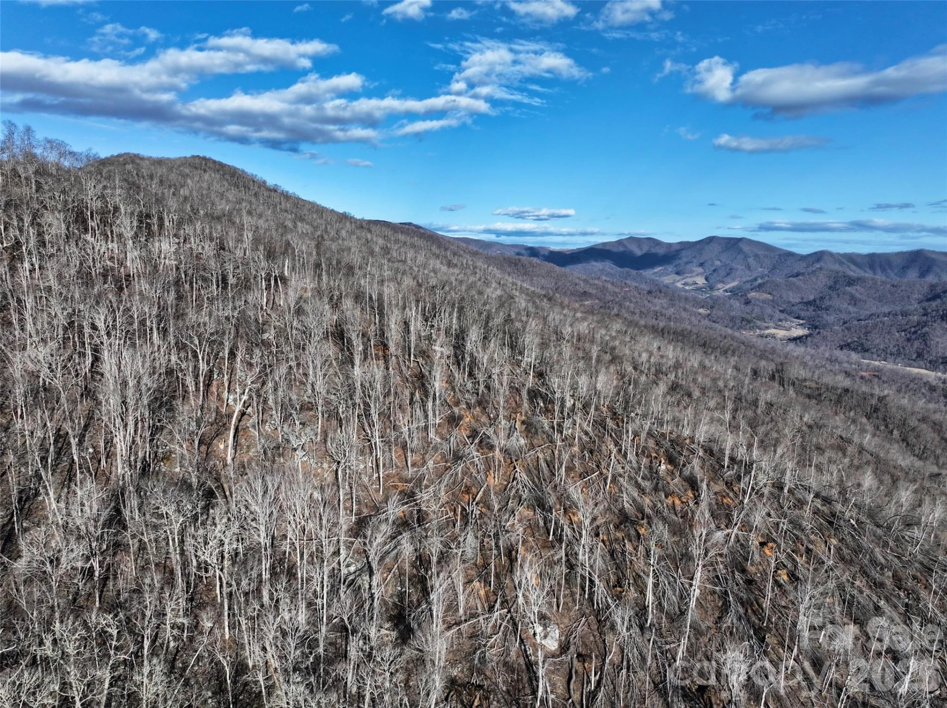 0000 Fork Mountain Road - Photo 18