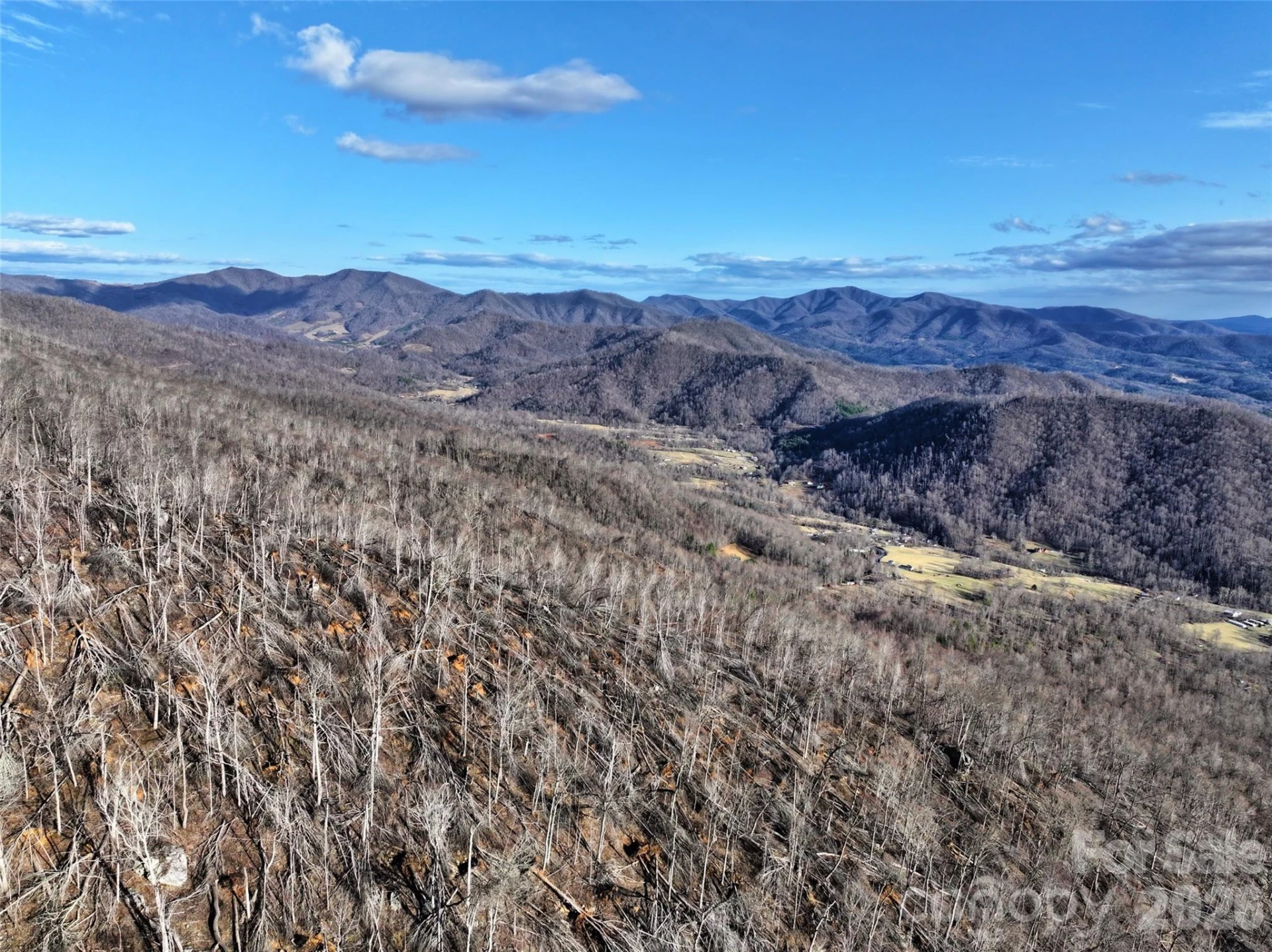 0000 Fork Mountain Road - Photo 19