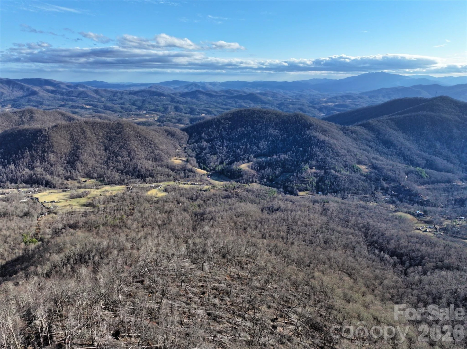 0000 Fork Mountain Road - Photo 23