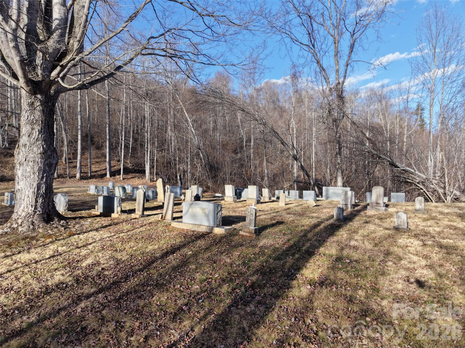 0000 Fork Mountain Road - Photo 30