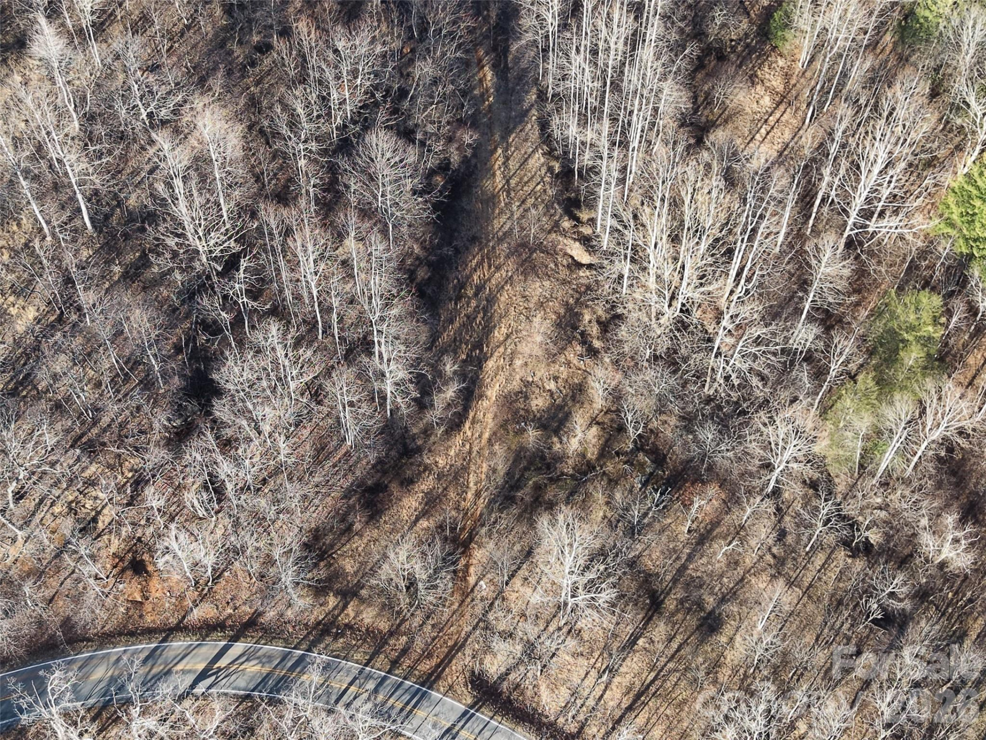 0000 Fork Mountain Road - Photo 32