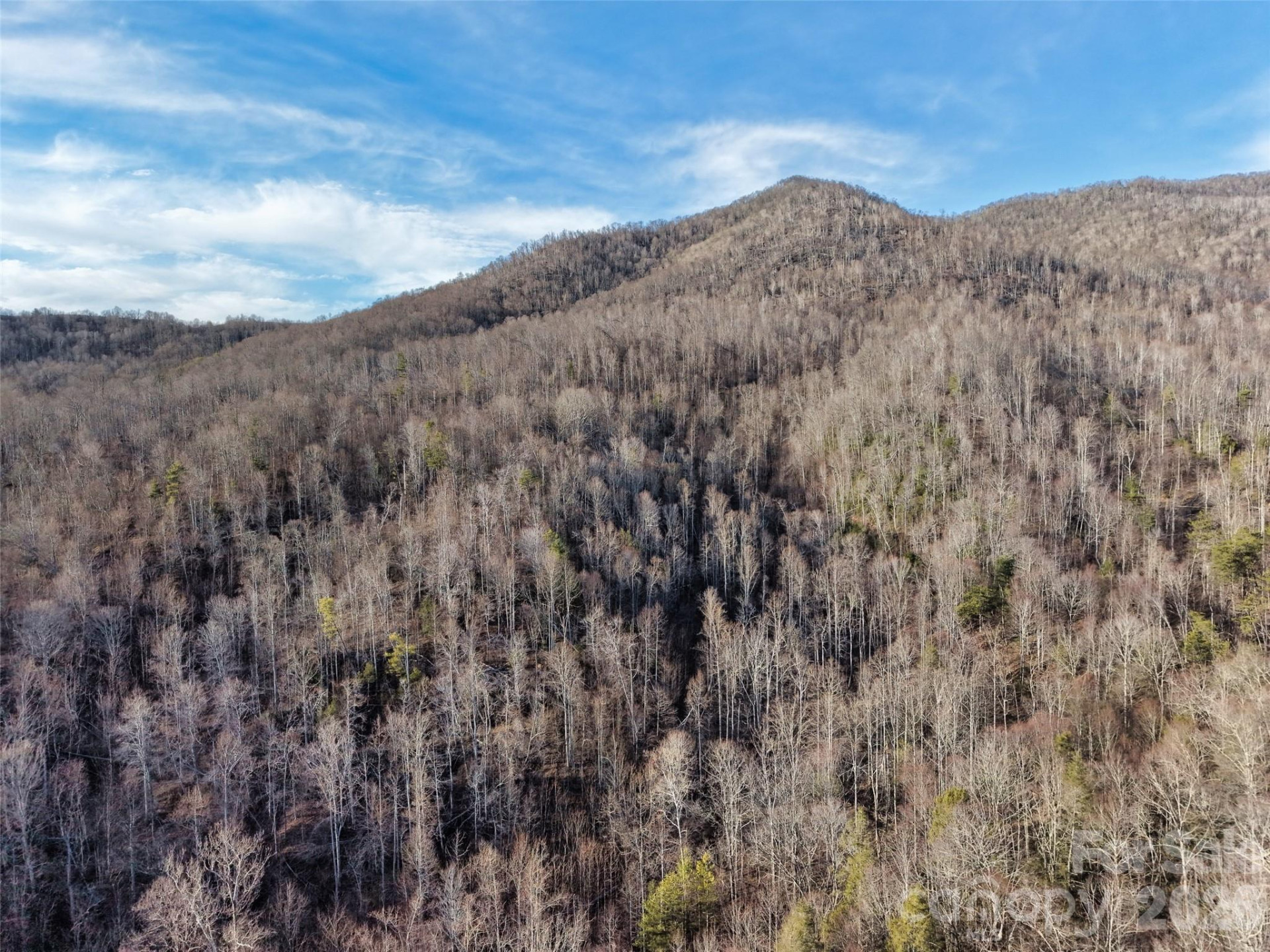 0000 Fork Mountain Road - Photo 33