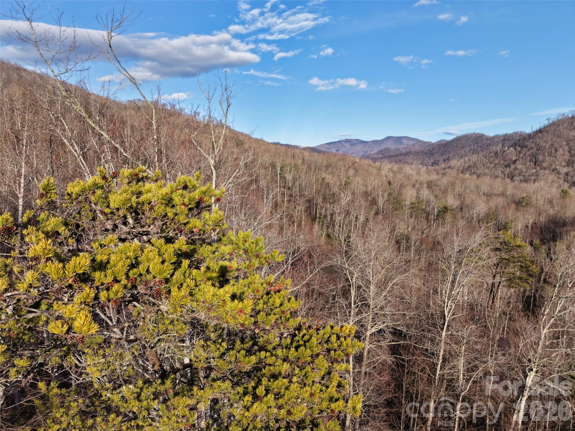 0000 Fork Mountain Road - Photo 34