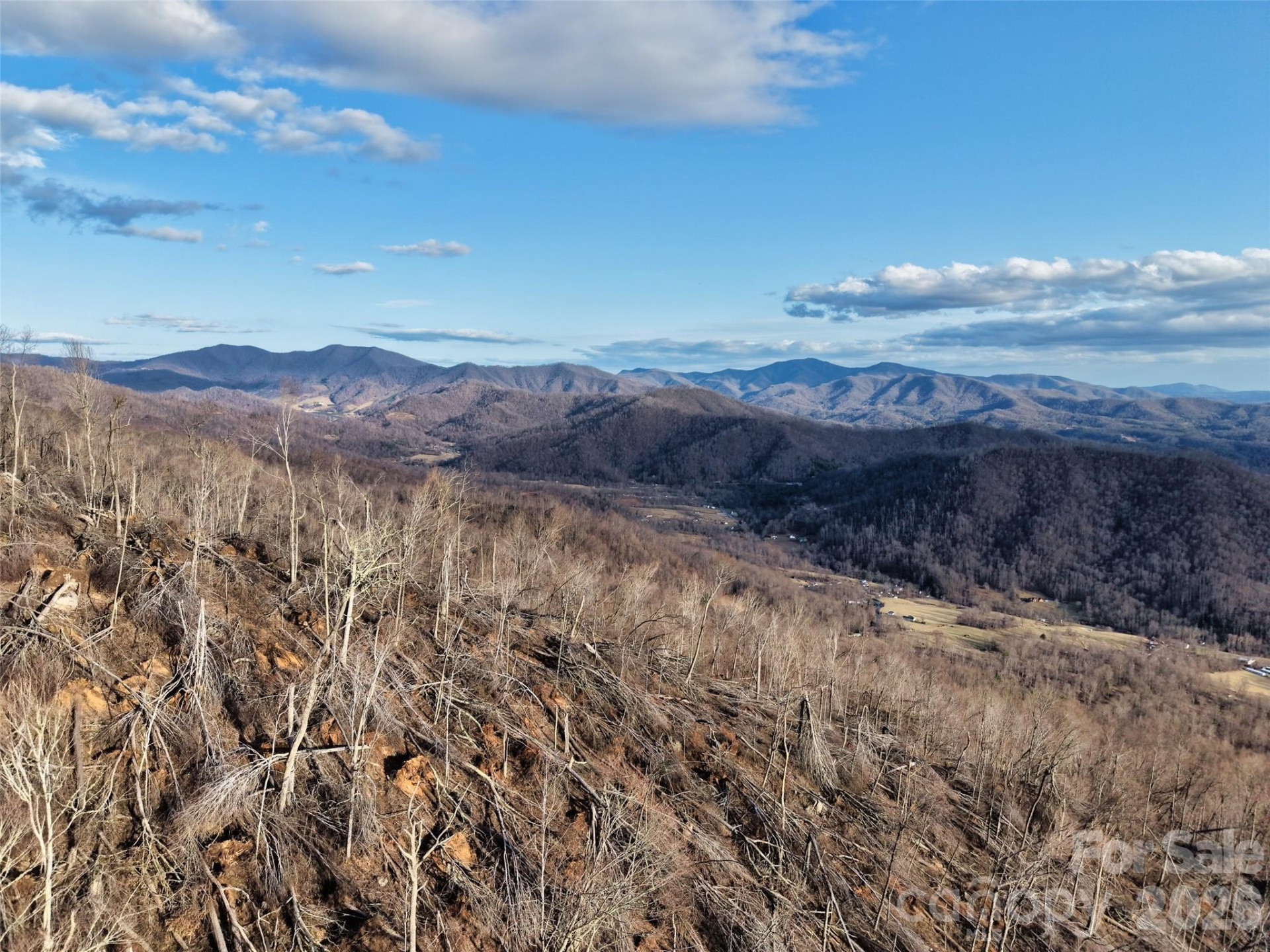 0000 Fork Mountain Road - Photo 36