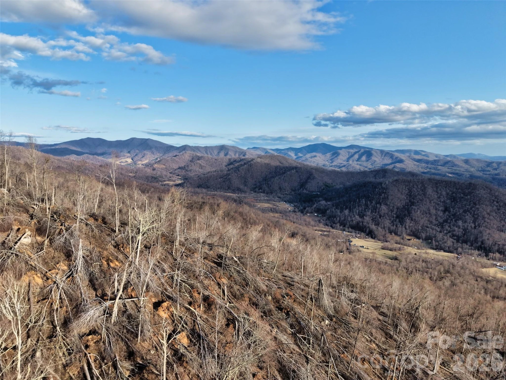 0000 Fork Mountain Road - Photo 36