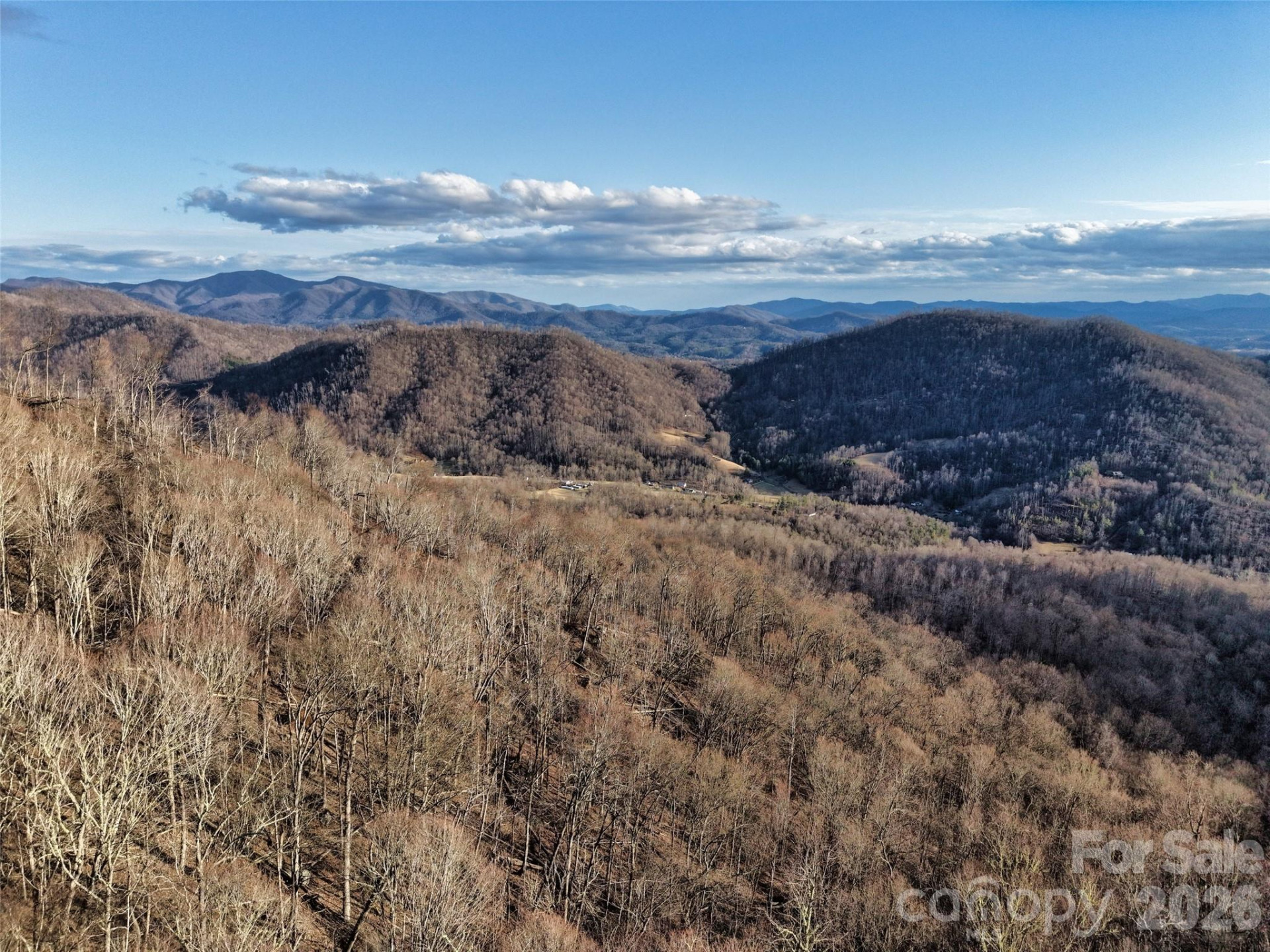 0000 Fork Mountain Road - Photo 37