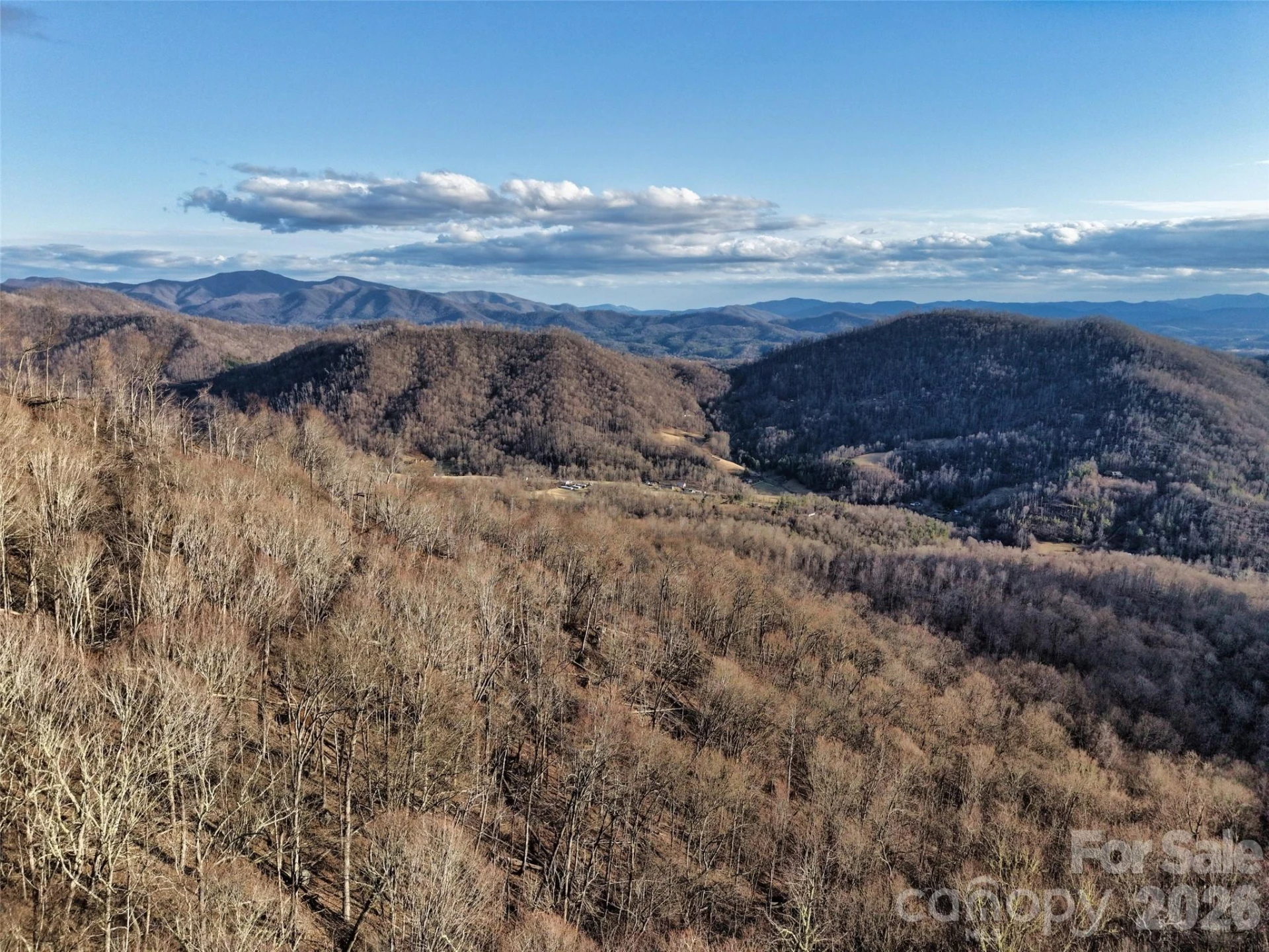 0000 Fork Mountain Road - Photo 37