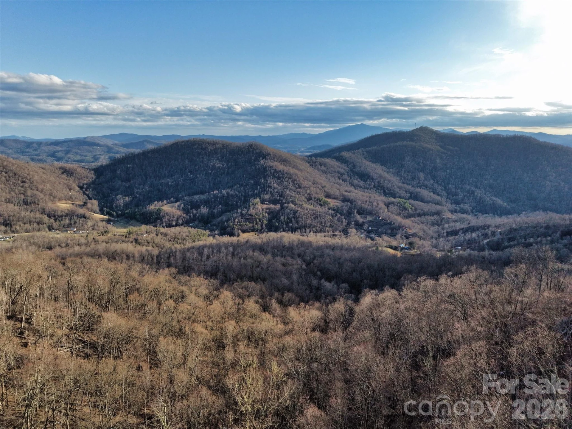 0000 Fork Mountain Road - Photo 38
