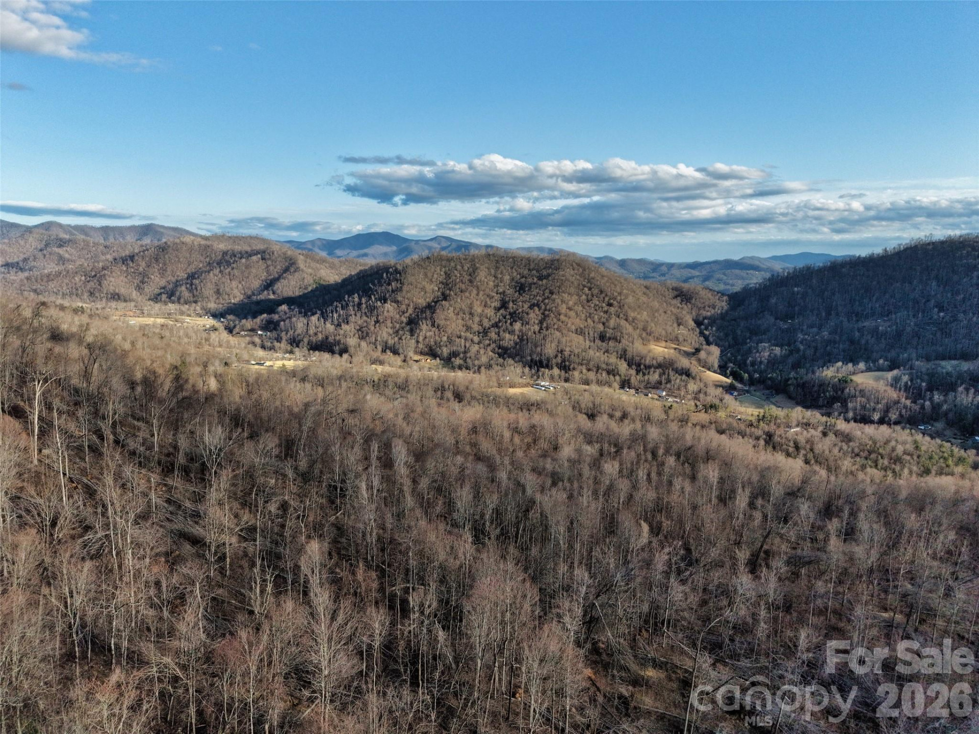 0000 Fork Mountain Road - Photo 39