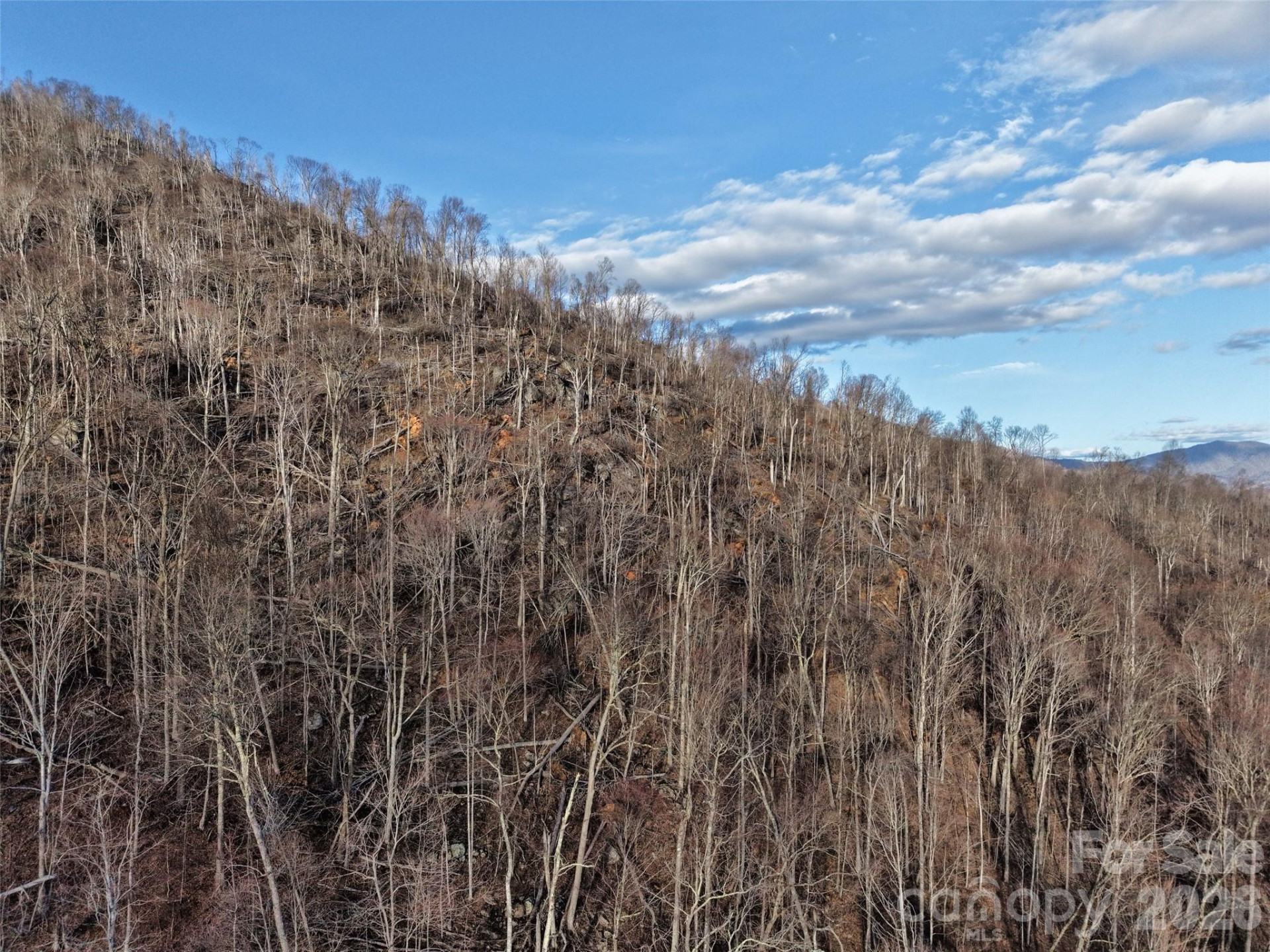 0000 Fork Mountain Road - Photo 40