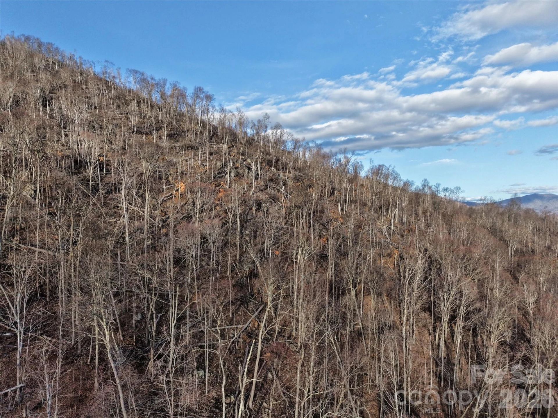 0000 Fork Mountain Road - Photo 40