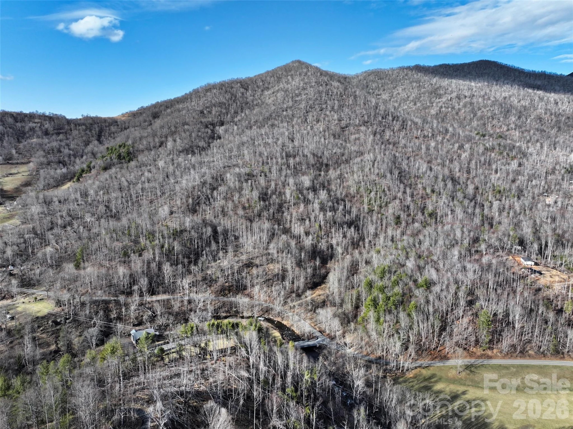 0000 Fork Mountain Road - Photo 5
