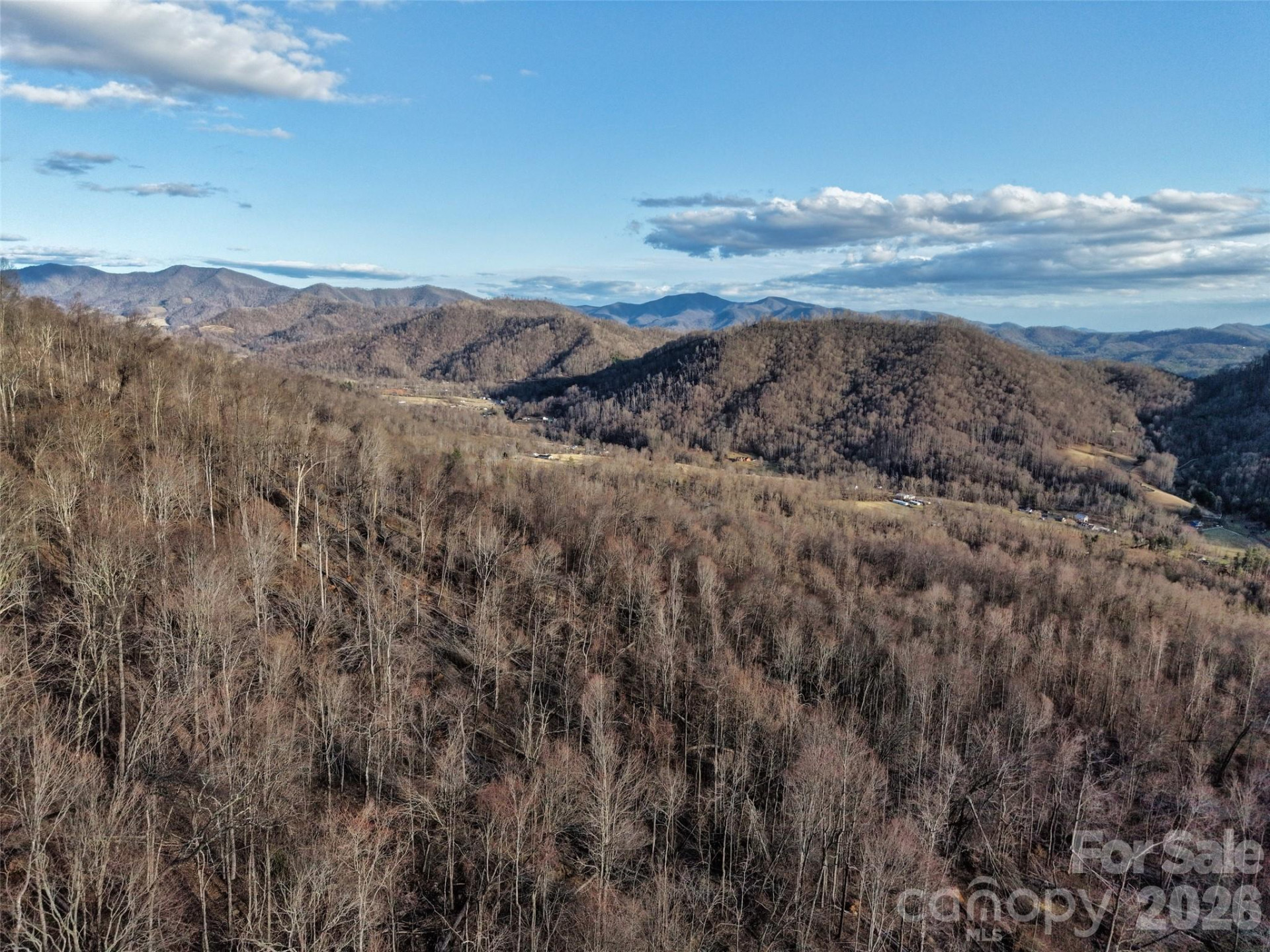 0000 Fork Mountain Road - Photo 41