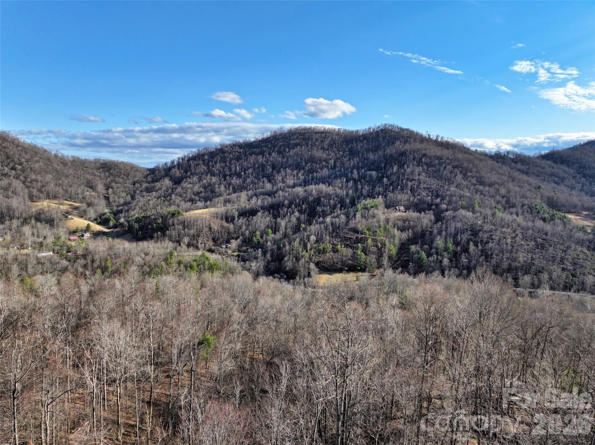 0000 Fork Mountain Road - Photo 7