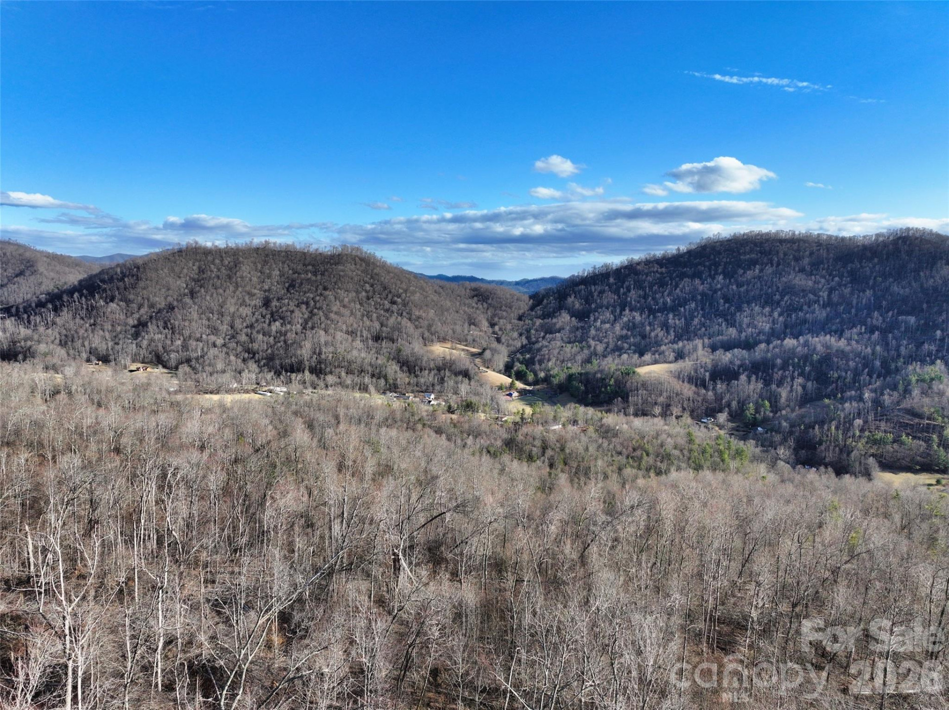 0000 Fork Mountain Road - Photo 8