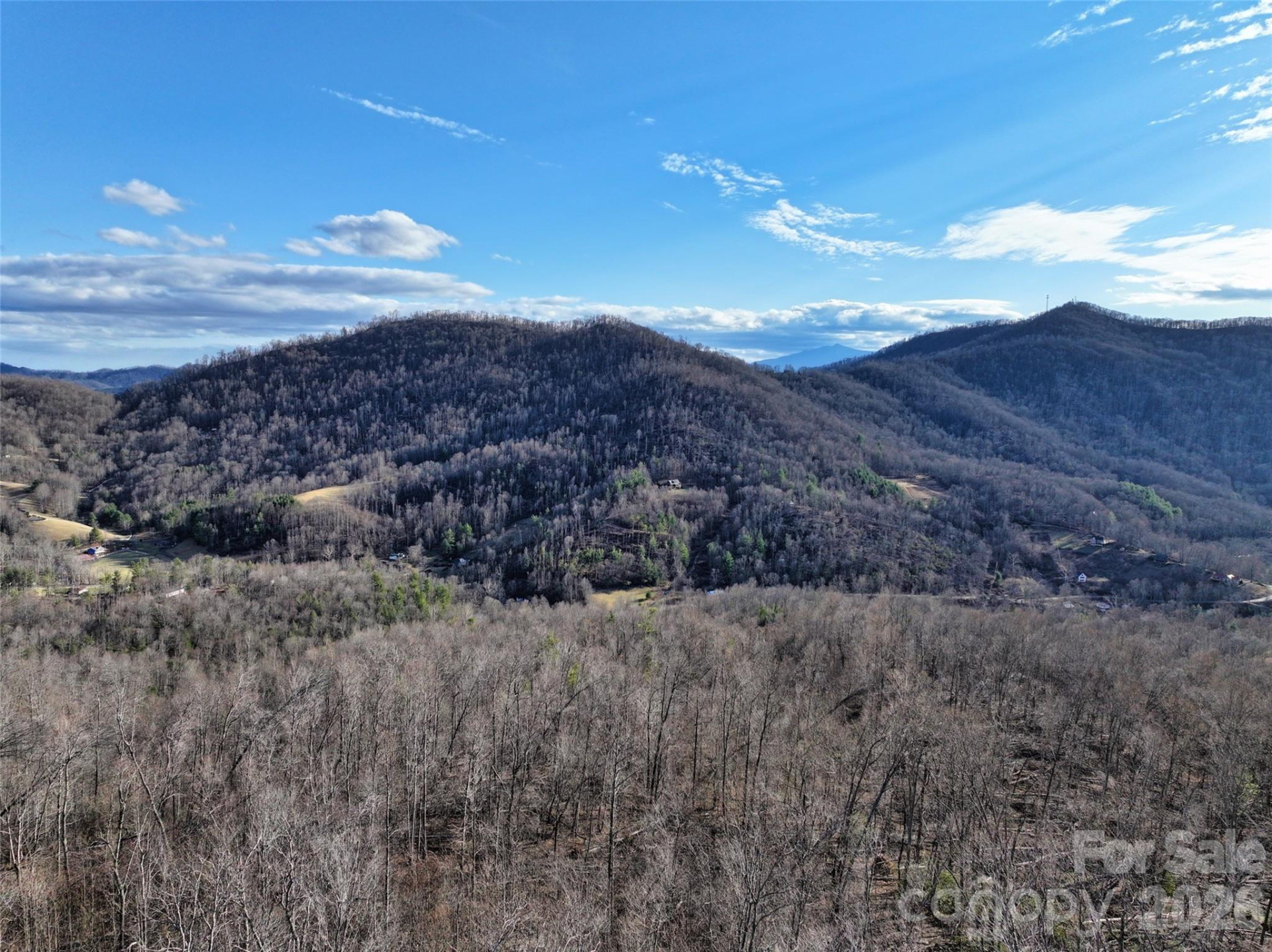 0000 Fork Mountain Road - Photo 9