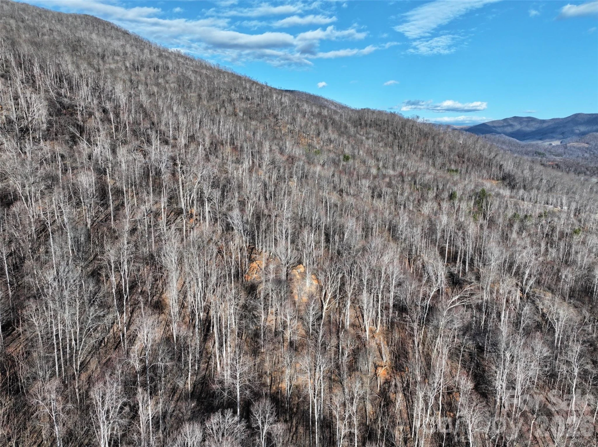 0000 Fork Mountain Road - Photo 10