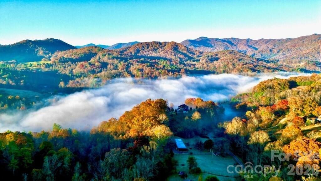 346 Lucky Lane - Photo 45